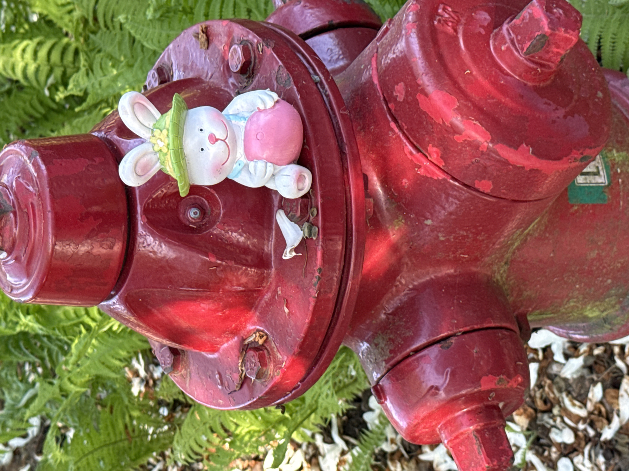 A red fire hydrant sits amidst green ferns and scattered white petals. A small, ceramic bunny figurine with a green hat and pink rear is placed on the hydrant. The scene is likely in Vancouver, Canada, although not directly observable.