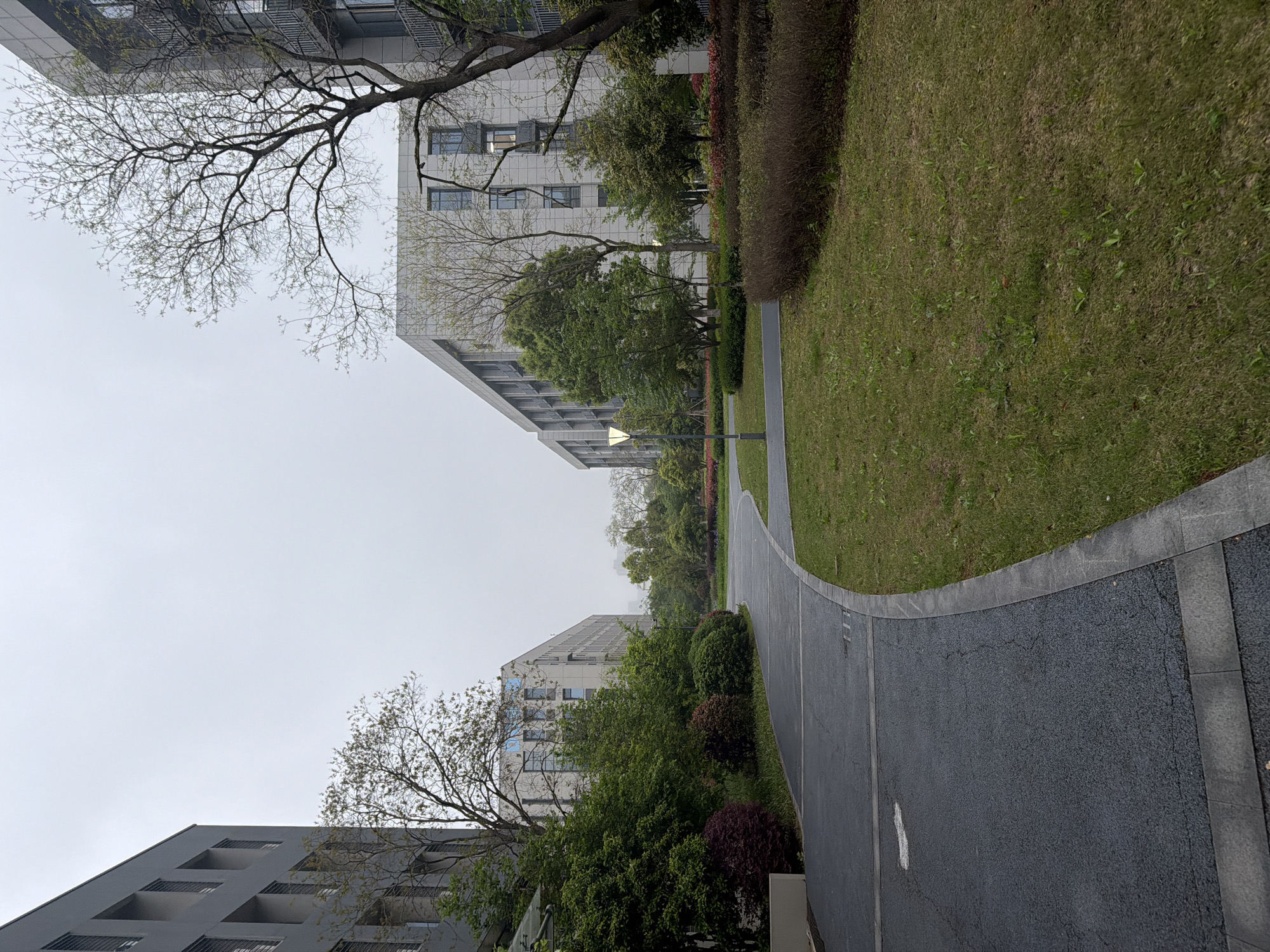 This outdoor shot depicts a paved pathway curving between grassy areas and buildings in Jiangning District, China. The sky is overcast. The path is bordered by greenery, including shrubs and trees, with buildings visible on either side. The buildings have multiple windows and a modern architectural style. A street lamp is visible in the middle ground. No people are present in the scene.