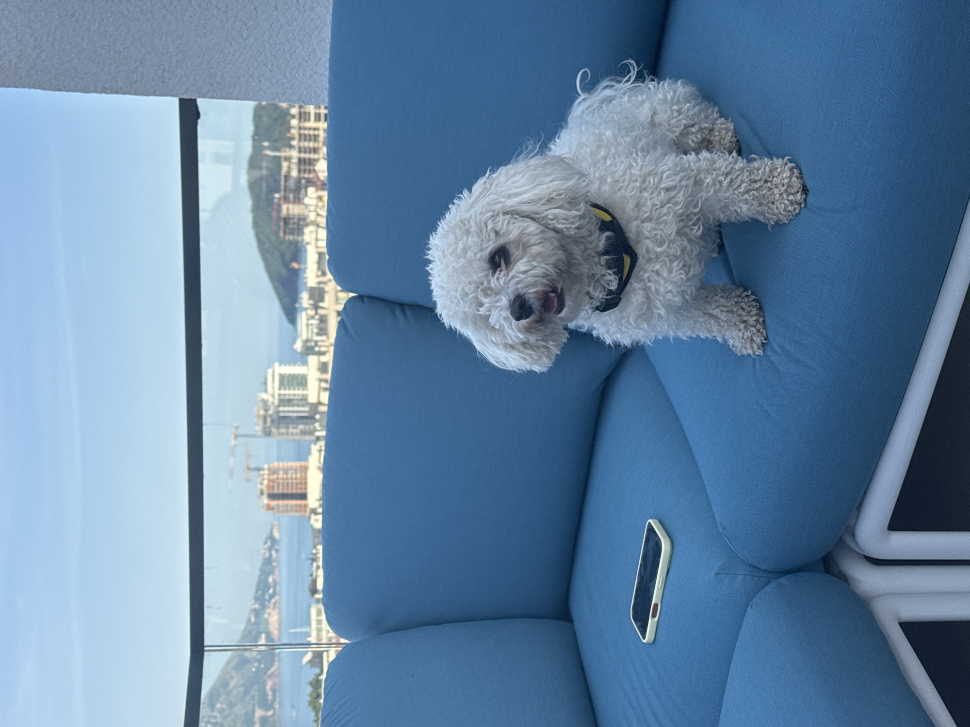 A medium shot captures a small, white, fluffy dog lounging on a blue upholstered outdoor couch. The dog, possibly a Bichon Frise, has a dark collar with yellow accents and is facing the viewer with its tongue slightly visible. Next to the dog, a smartphone with a light-colored case is placed on the couch.
In the background, beyond a glass barrier, a cityscape is visible. It appears to be the city of Budva, Montenegro, based on the recognizable buildings and coastal geography. The city spans from the waterfront up the sloping terrain, with visible buildings, construction sites, and dense vegetation. The scene implies an outdoor, elevated location with a view overlooking Budva.