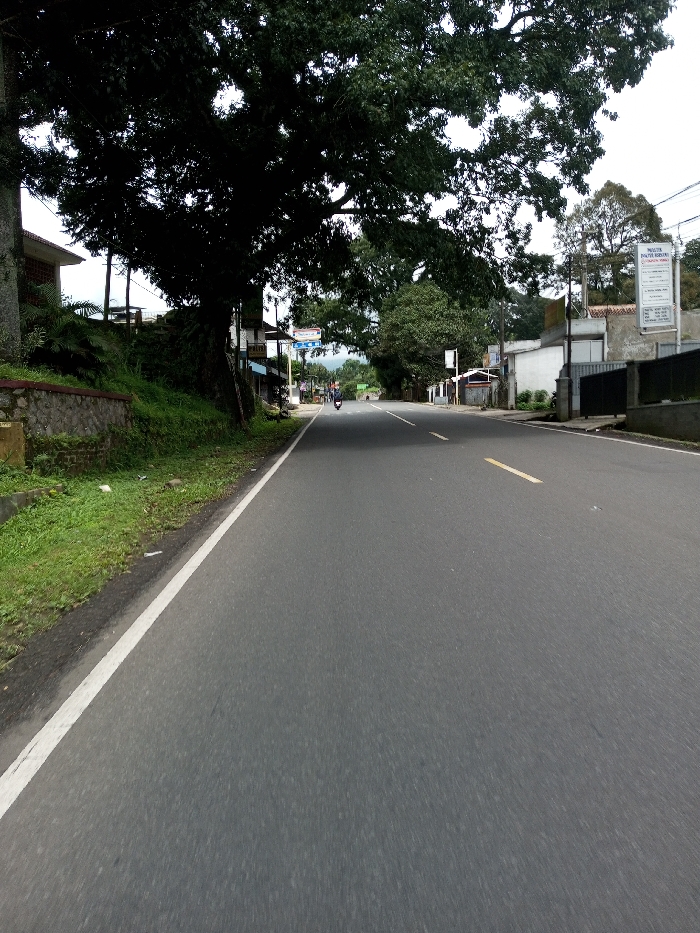 The image displays a straight, two-lane asphalt road extending into the distance under an overcast sky in Serpang Shalli, Bhutan. A solid white line delineates the left edge of the road, with yellow dashed lines visible further ahead, marking the center. To the immediate left of the road, a grassy shoulder gives way to a low stone retaining wall, behind which an embankment covered in dense green vegetation ascends. A large, mature tree with dark green foliage significantly shades the left side of the scene. Partially visible structures with light-colored walls and dark roofs are present behind the tree and embankment, alongside various signs, one of which is blue and white. On the right side of the road, another large tree with green foliage stands further down. Multiple buildings line the right side, one featuring a prominent white sign with black text, including the words "PRODUK DOKTER KECIL." A single individual operates a motorcycle, moving away from the viewer in the middle of the road in the mid-ground. Overhead power lines are visible against the sky.