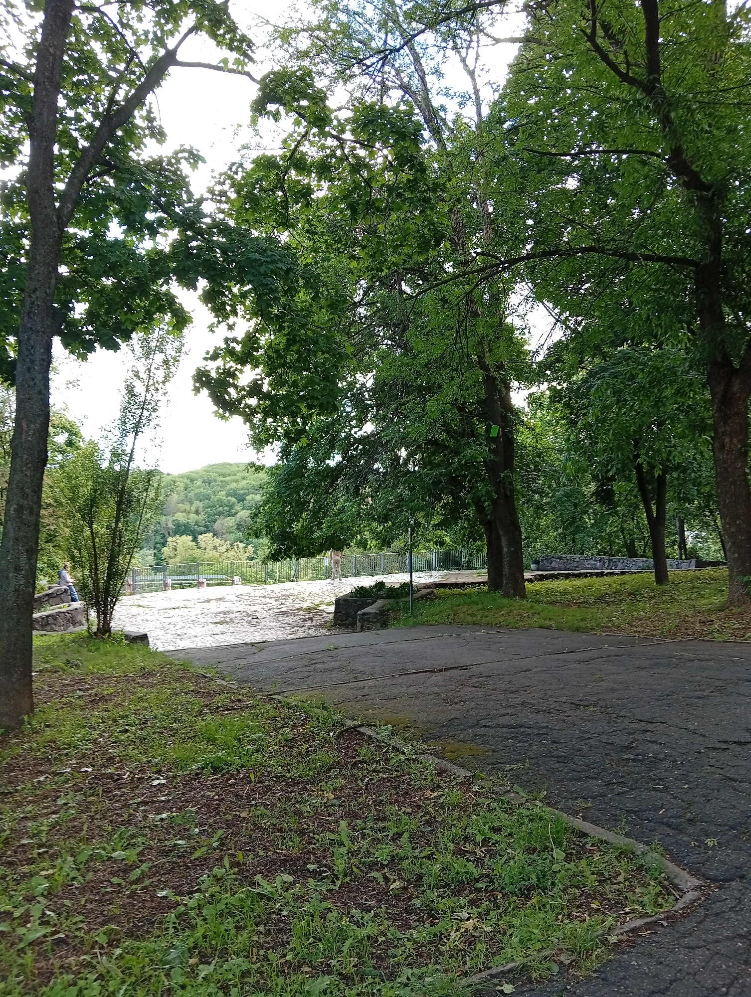 The image shows a park scene in Poltava, Ukraine. An asphalt path leads from the foreground to a paved terrace overlooking a green, tree-covered landscape. The path is cracked and bordered by grass and leaf litter. On the left of the frame, a tree trunk stands tall, partially obscuring a figure sitting on a ledge at the terrace's edge. A metal railing lines the terrace. Another figure stands on the terrace to the right. Lush green trees frame the scene.