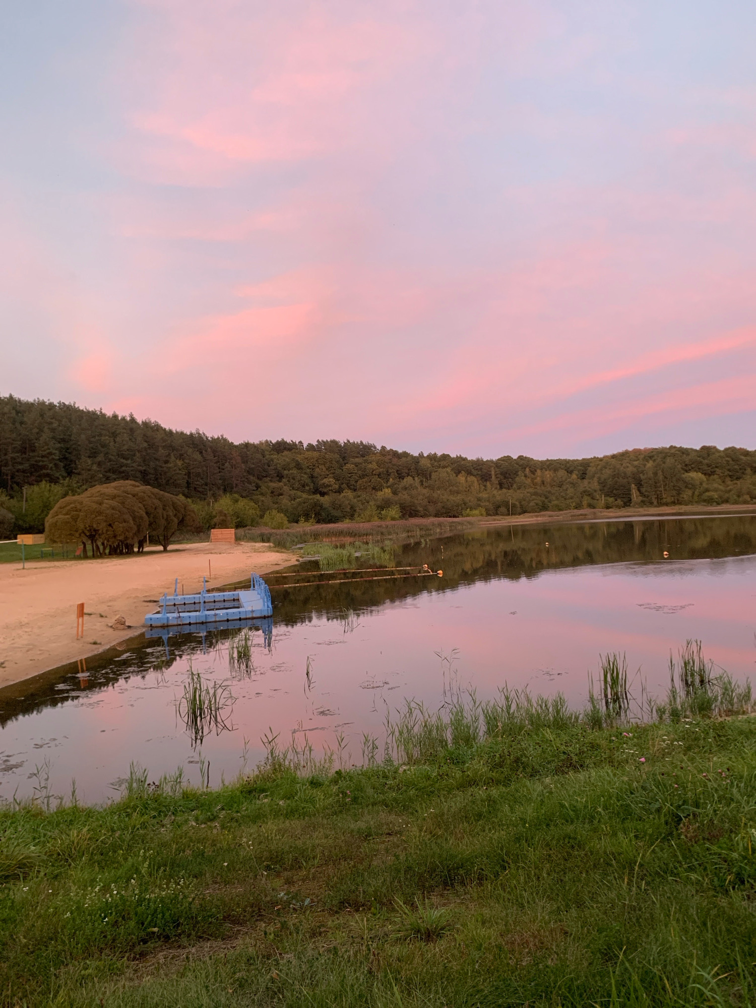 The image depicts a tranquil natural scene at dusk. A calm lake occupies the right side of the frame, its surface reflecting the soft pink and pale blue hues of the sky, with scattered clouds. The left side of the image features a sandy beach bordered by a dense forest of green trees. In the foreground of the beach, a blue floating platform is partially submerged in the water, with some reeds growing around it and in the lake. The sky is filled with a soft, pastel gradient of pink and light blue, indicative of either sunrise or sunset. The overall impression is one of serene natural beauty. The location is identified as the city of Kapyĺ, Belarus.