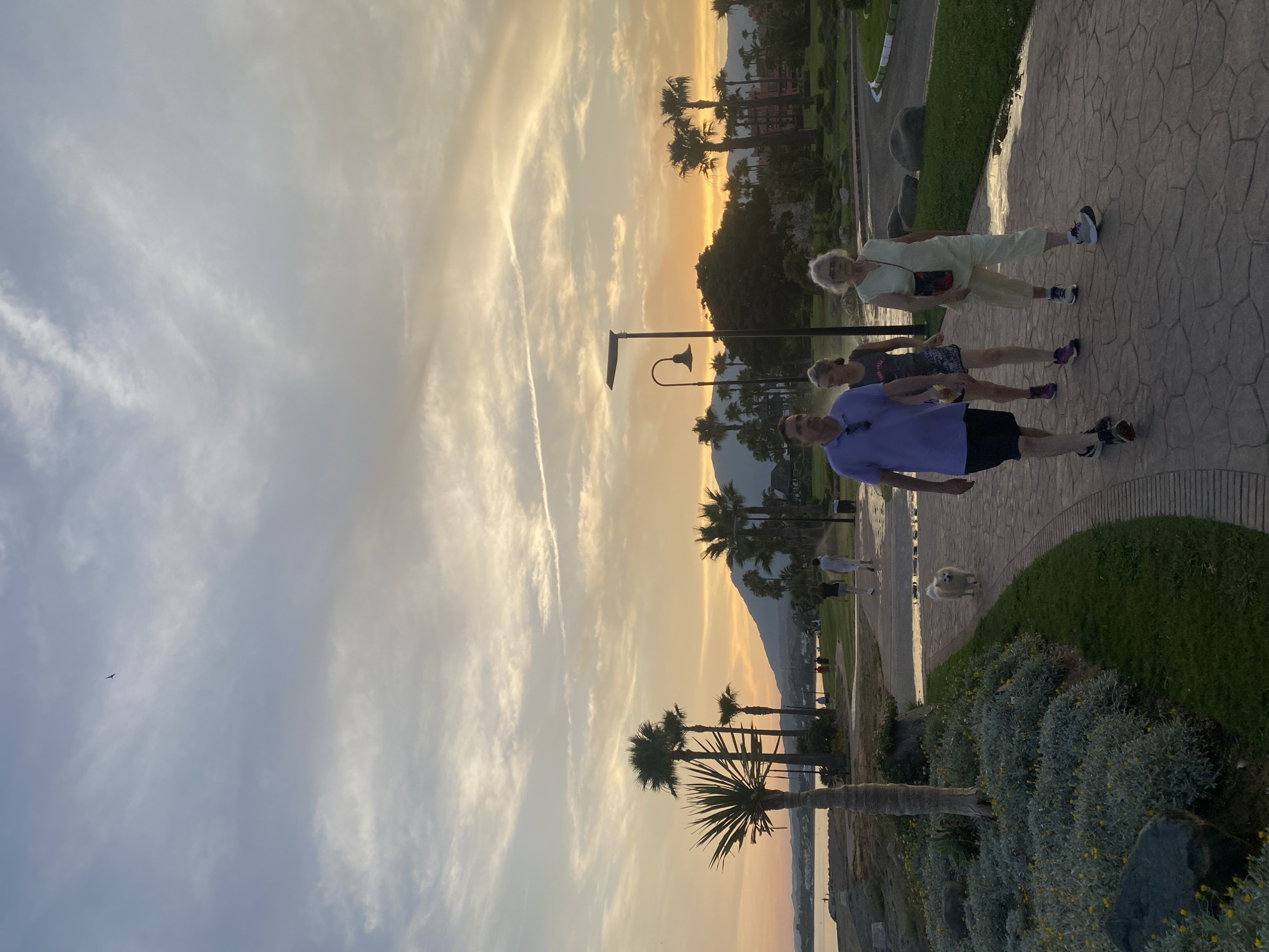 This is a vertical, full-shot photograph taken at sunset in Estepona, Spain. The sky is a mix of pale blue and vibrant orange, with wispy white clouds streaking across it. A bird is visible in the upper left of the frame.
In the foreground, a paved walkway runs alongside a grassy area with lush greenery and some flowering bushes. Several palm trees are scattered throughout the scene, adding to the tropical atmosphere. In the distance, mountains can be seen, silhouetted against the setting sun. The sea is visible in the lower part of the frame.
On the walkway, three people are walking. The person closest to the viewer is a man wearing a purple polo shirt and black shorts. Next to him is a woman in a grey t-shirt and shorts. Further ahead, an older woman in a pale yellow jumpsuit and glasses is walking. They appear to be enjoying a leisurely stroll. A fluffy white dog is also present on the walkway, looking towards the camera.
The overall mood of the photograph is peaceful and relaxed, with the warm glow of the sunset creating a serene ambiance. The scene suggests a pleasant evening activity, perhaps a walk after a day of sightseeing or relaxing by the sea. No visible text is present in the image.
