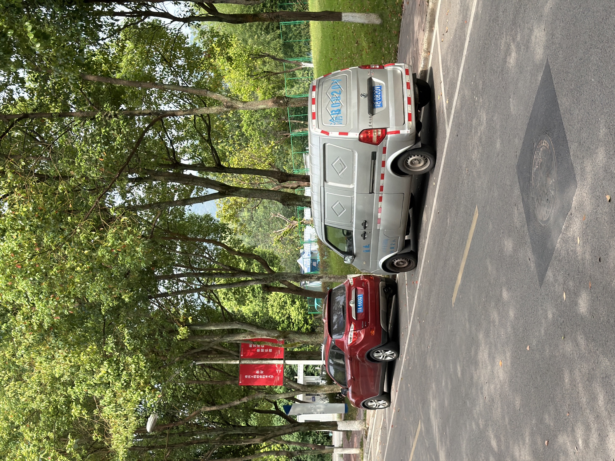 The image shows a street scene in Jiangjin, China, with two parked vehicles. On the left is a red SUV, and on the right is a silver van. Both vehicles are parked on the side of a paved road. The road has yellow and white lane markings. Trees with lush green foliage line the street, casting shadows on the road. In the background, there is a grassy embankment and more trees, with a distant view of hills or mountains. Red banners with Chinese characters are hanging from poles between the trees on the left side of the road. The sky is partially visible through the tree canopy, suggesting it is daytime.