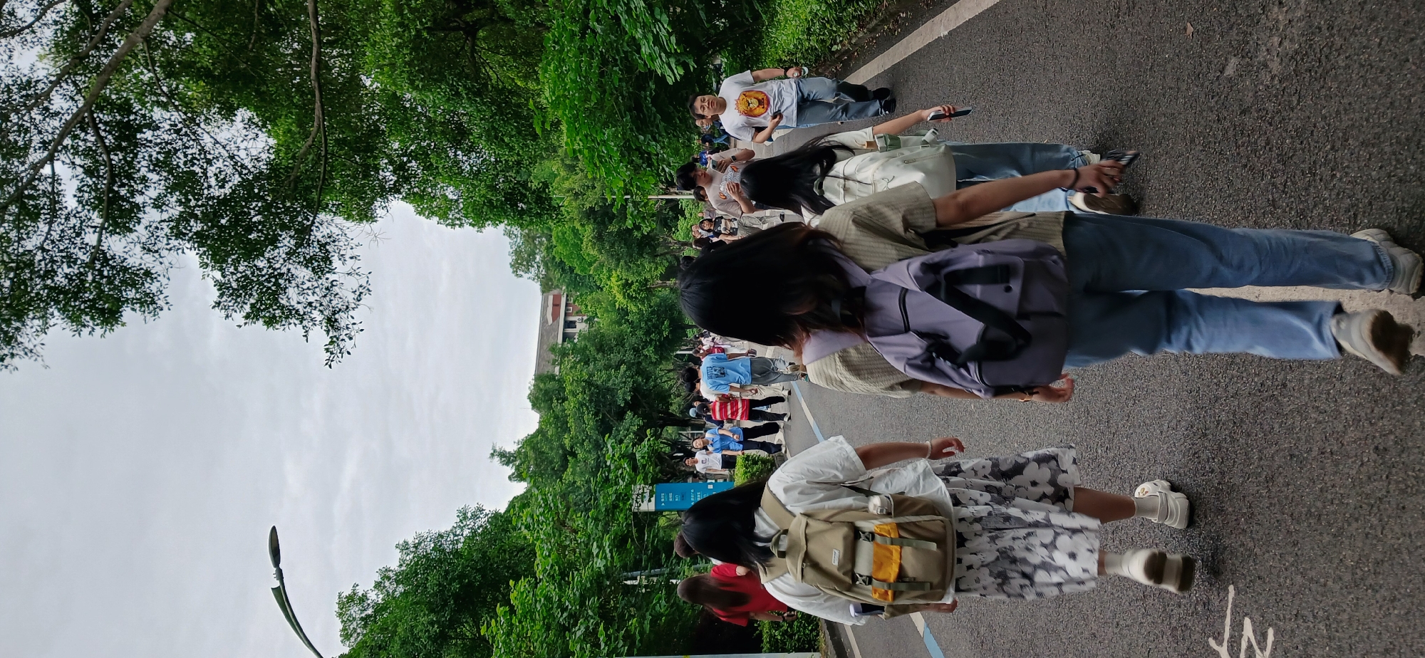 A medium-angle shot shows a group of people walking on a paved road in the Chongqing High-tech Zone, China. Dense green trees and vegetation border both sides of the road, with a building visible in the background through the trees. The sky above is overcast. The people are mostly students, possibly on a school outing or event. They are dressed in casual clothing and appear to be moving in the same direction. Some are carrying backpacks. The road has painted blue lines, possibly indicating lanes. A lamppost is visible against the sky. The image is slightly rotated counter-clockwise.