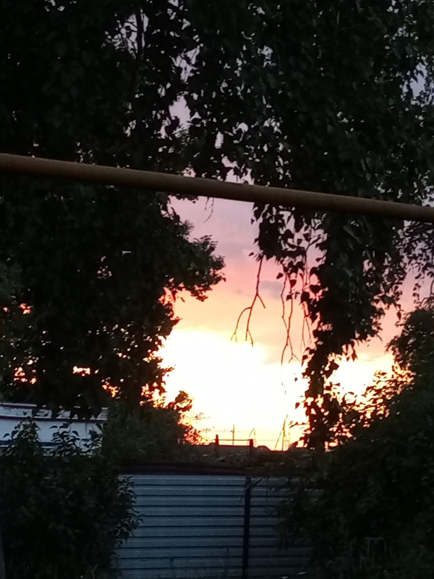 The image captures a sunset scene in Voroshilovka, Kazakhstan, framed by silhouetted tree branches and foliage. A horizontal, light brown bar crosses the upper portion of the frame, possibly a fence or railing. The sky is a gradient of soft pinks, oranges, and yellows, indicating dusk.
In the foreground, dark green bushes and trees partially obscure the view of a corrugated metal fence or structure, which runs horizontally across the bottom of the image. A white object, possibly a building or vehicle, is visible behind the bushes on the left side. The overall impression is one of a quiet, rural or semi-rural setting at the end of the day. The colors of the sunset evoke a sense of calm and natural beauty. There is no visible text in the image.