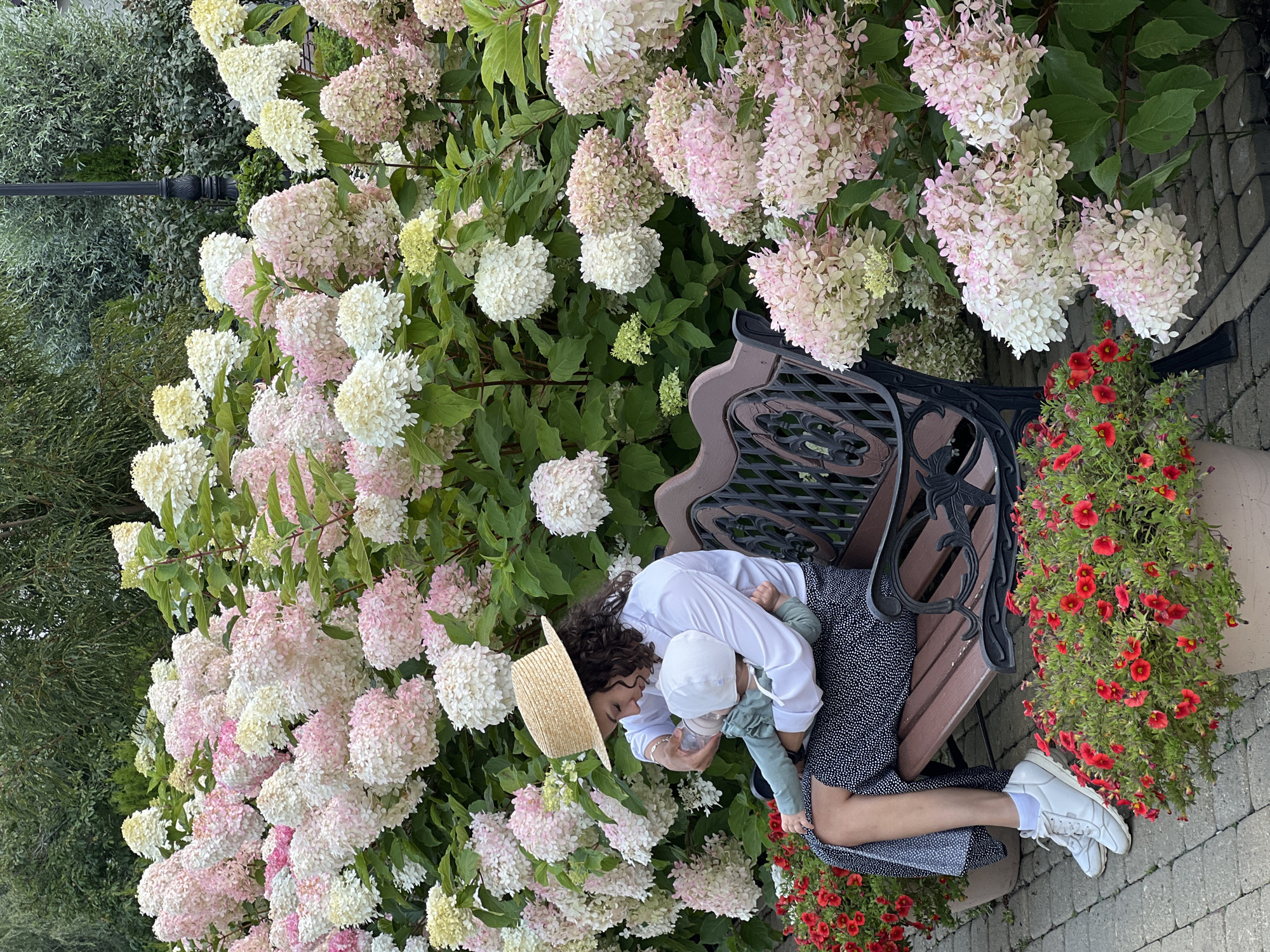 A woman wearing a straw hat and a white shirt is sitting on a park bench, feeding a baby a bottle. The bench is made of dark wood and metal. She is surrounded by blooming hydrangeas in shades of pink and white. In the foreground, there are potted plants with red flowers. The background shows more greenery and trees. The location is not Yekaterinburg, Russia.