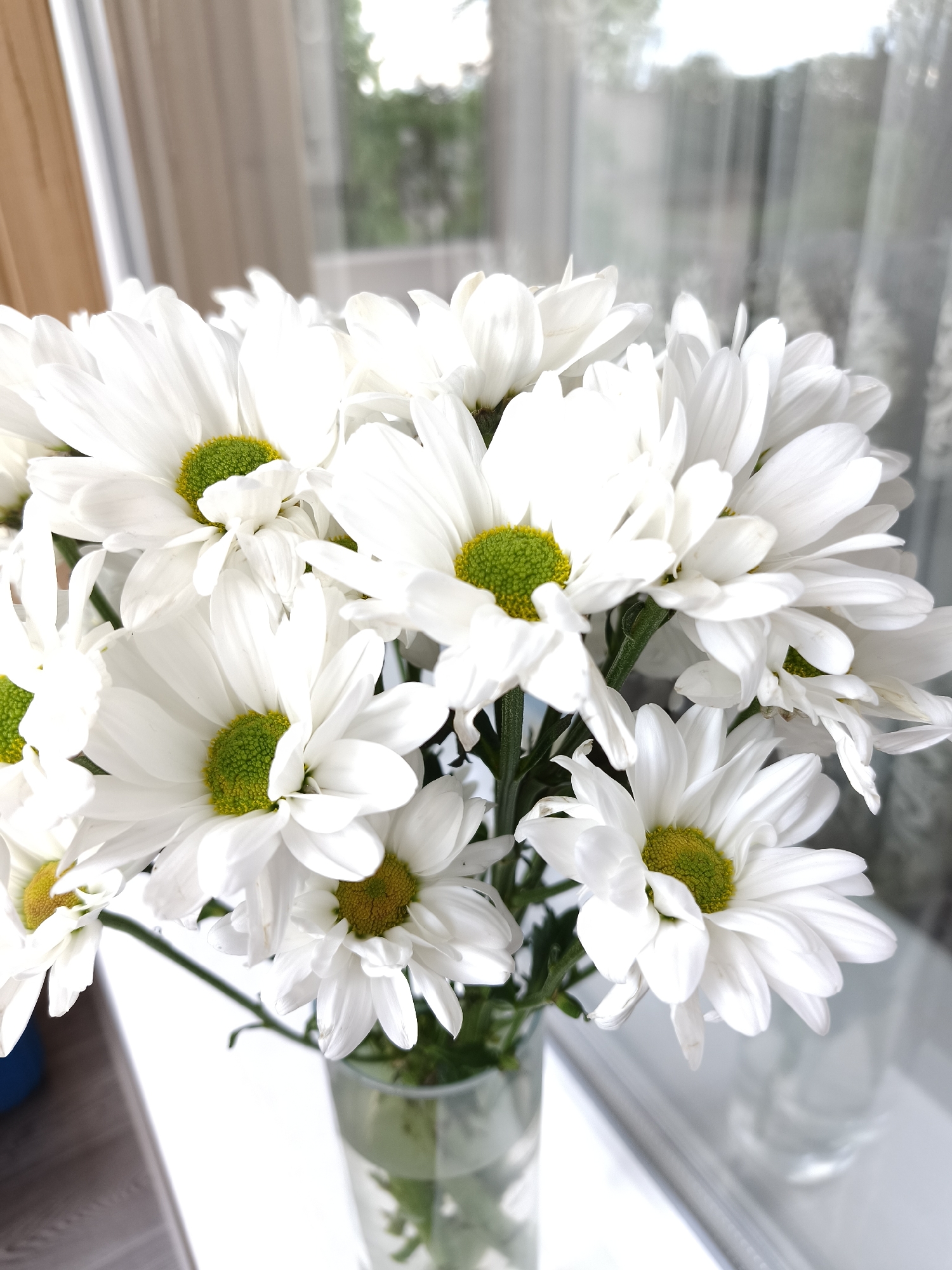 A close-up image shows a bouquet of white daisies with green centers in a clear glass vase. The vase sits on a white surface. The background is blurred but appears to be a window with sheer curtains. The scene's location is not deducible from the image.