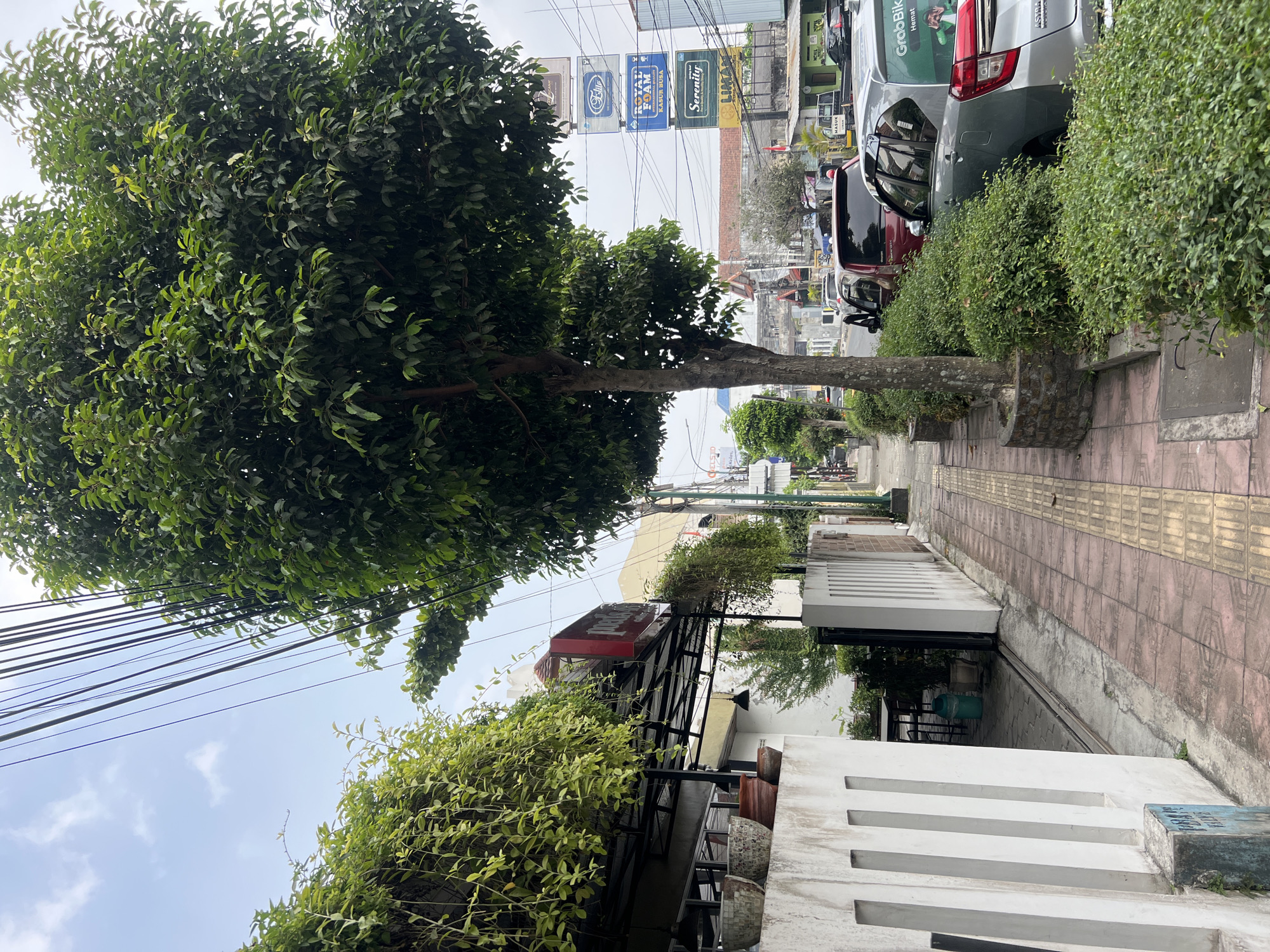 A street scene in Yogyakarta, Indonesia, features a sidewalk with red and yellow paving stones, bordered by a low white wall with rectangular openings on the left. Hanging plants adorn the wall and a nearby building, which appears to be a cafe with a red sign that reads "poesia". A large tree with dense green foliage stands prominently in the foreground, casting shade on the sidewalk. Beyond the tree, a street is visible with several cars parked and in motion. Signs for "Elite", "ROYAL FOAM", and "Serenity" are mounted on a tall pole in the background. The sky is overcast with scattered clouds.