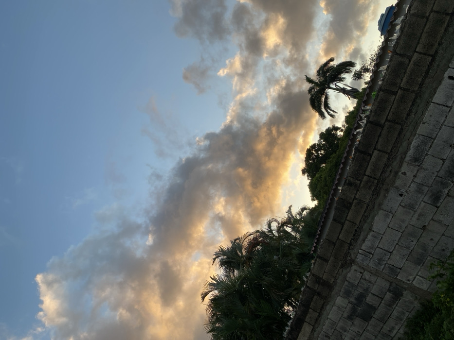 A low-angle shot captures a scene with a dramatic sky. Fluffy, illuminated clouds dominate the upper portion of the image. To the right, a weathered brick wall adds a rugged texture. Palm trees and other lush greenery peek over the wall, creating a tropical feel. A solitary palm stands against the sky. The color palette is dominated by blues, grays, and the golden hues of the sun reflecting off the clouds.