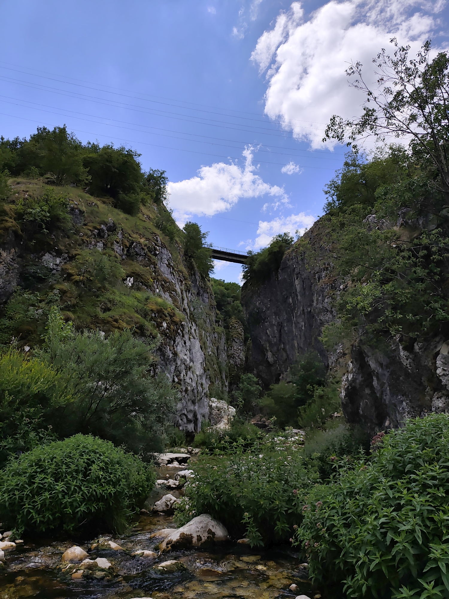A low-angle shot captures a deep canyon with a narrow stream flowing through it. Steep, rocky cliffs flank the stream, covered in patches of green vegetation and moss. A metal bridge spans the canyon at a high elevation, and power lines stretch across the sky above. Lush green trees and bushes line the canyon floor and climb the sides of the cliffs. The sky is blue with scattered white clouds. The scene is natural and appears to be located in a mountainous or wild area, potentially the region of Komarnica, Montenegro, known for its dramatic gorges and natural beauty.
