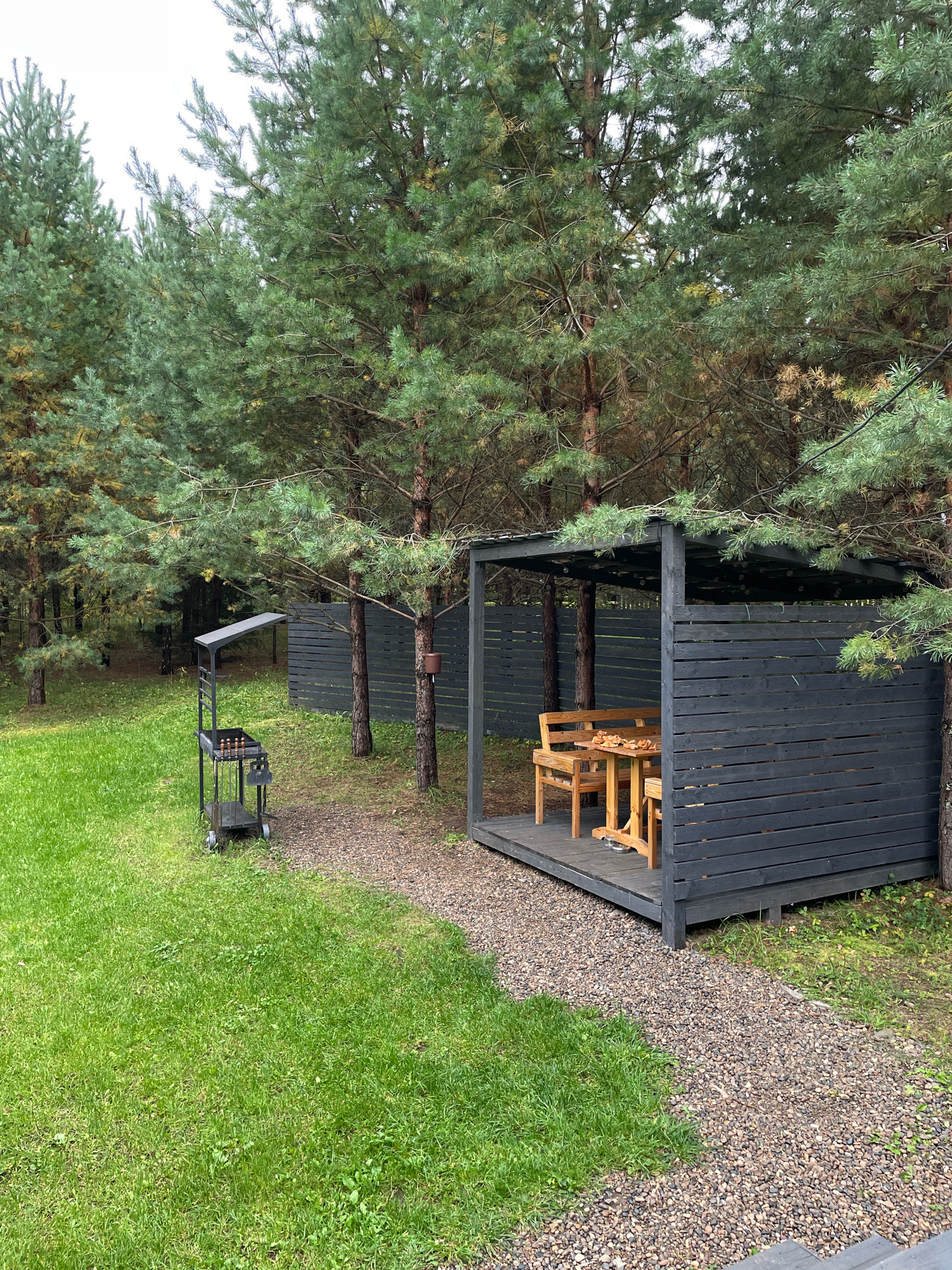 The image depicts an outdoor seating area with a dark wooden gazebo, a picnic table with benches, and a grill. The gazebo is located in a wooded area with tall pine trees and a gravel path leading to it. A lush green lawn borders the path. The scene is set in the city of Докша, Russia, though its specific location within the city is not specified. No people are present in the image. The overall atmosphere is one of a peaceful, natural retreat.
