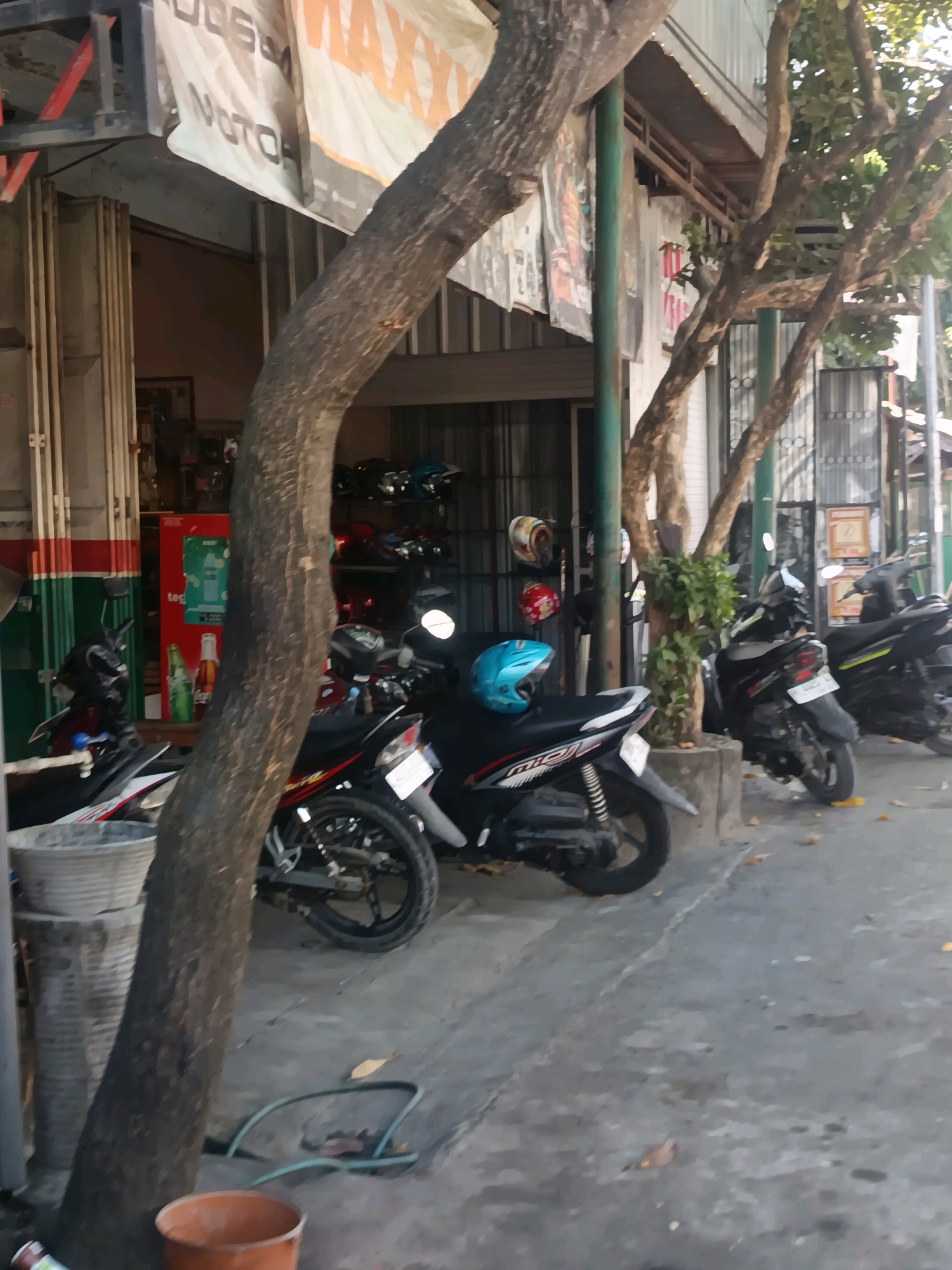 The image depicts a street scene in Blega, Indonesia, with a focus on a row of parked motorcycles in front of a building that appears to be a shop or repair service. A large tree trunk is prominently positioned in the foreground, obscuring part of the view. Several motorcycles, mostly scooters, are lined up along the sidewalk. One scooter in the foreground has a bright blue helmet resting on its seat. In the background, more motorcycles are visible, along with shelves holding helmets and other items inside the building. A red refrigerator with green signage is also present, and a banner with text, partially obscured by the tree, hangs above the shop. The ground is paved, and fallen leaves are scattered on the surface. The overall impression is a typical street view of a commercial area with transportation services.