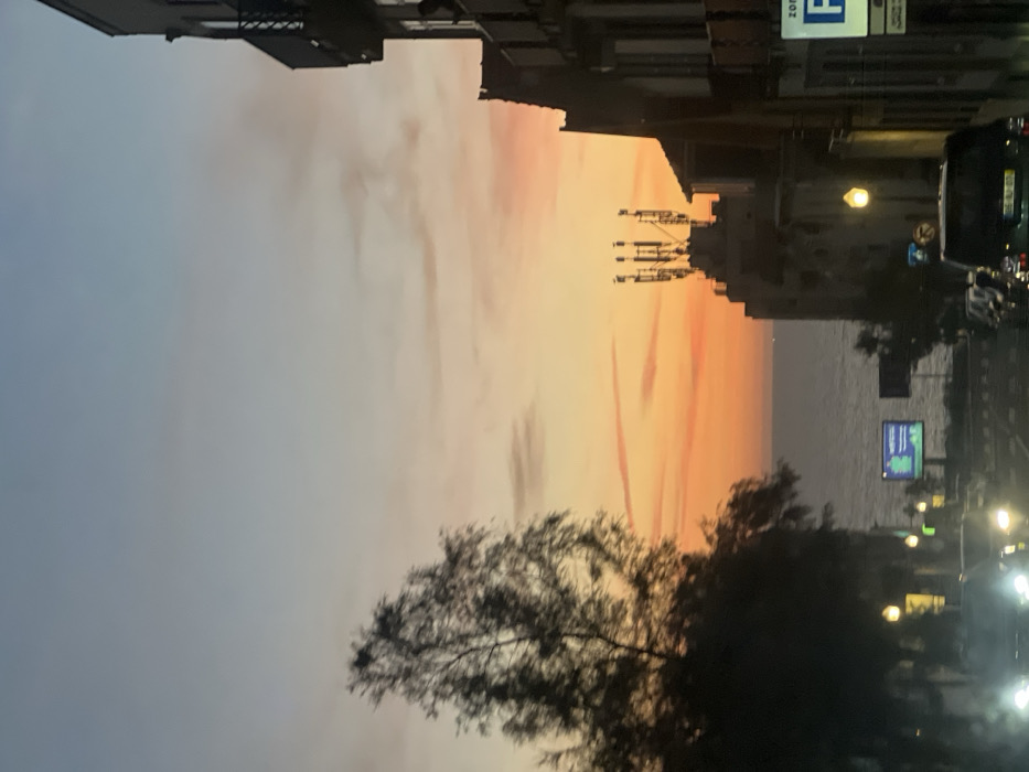 The image captures a serene coastal urban scene during what appears to be dusk or dawn, with a dramatic sky dominating the upper half. The sky exhibits a gradient of colors, transitioning from soft blue-grey on the left to vibrant orange and pink hues towards the right, suggesting a sunset over the sea. Wispy clouds are painted across these vivid colors.
In the middle-right of the frame, the calm, dark expanse of the sea stretches towards the horizon. Along the bottom and extending upwards on the left, urban infrastructure is silhouetted against the bright sky. Dark, indistinct buildings line a street or promenade, with one structure featuring a visible balcony or railing. A prominent, heavily silhouetted object, possibly a communication tower or a rooftop antenna array, stands against the colorful sky near the buildings.
The foreground on the bottom-left features the dark, dense foliage of a tree, its branches forming an intricate silhouette. On the right side of the image, parallel to the sea, is a street with illuminated streetlights casting a warm glow. Several vehicles, appearing as dark shapes with glowing headlights or taillights, are visible on the road.
Notable details include a blue rectangular sign attached to a pole or building on the upper right, displaying a white "P" with the word "ZONA" above it, indicating a parking zone. Another illuminated rectangular sign, possibly an advertisement, is visible closer to the sea. The overall mood is tranquil, with the artificial lights of the city beginning to glow against the fading natural light.
Given the location context of Aldoar, Foz do Douro e Nevogilde, Portugal, the scene likely depicts a view along the coast of Porto, looking out over the Atlantic Ocean at sunset.