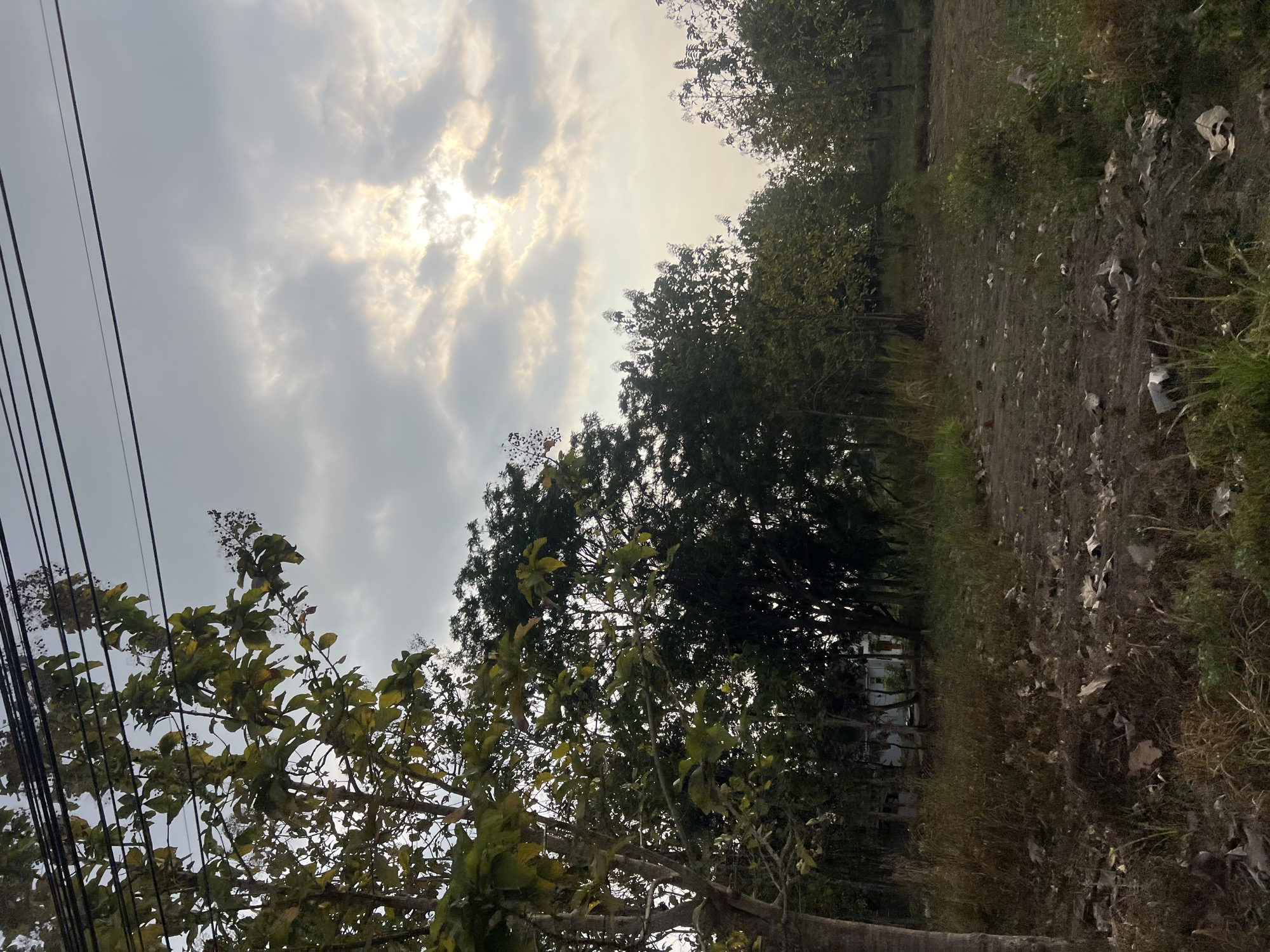 This is a medium shot, eye-level, outdoor photograph taken on a cloudy day in Ngaglik, Indonesia. The foreground is dominated by dry grass and scattered debris, including plastic bags and crumpled paper. In the midground, a line of trees with sparse foliage runs horizontally across the frame. Behind these trees, a cluster of darker, denser trees is visible. To the far left, a tree trunk is prominent. In the background, the sky is overcast with sunlight breaking through the clouds, creating a bright, hazy effect. Several dark power lines stretch across the upper portion of the image. The overall impression is one of a somewhat neglected rural or semi-rural area.