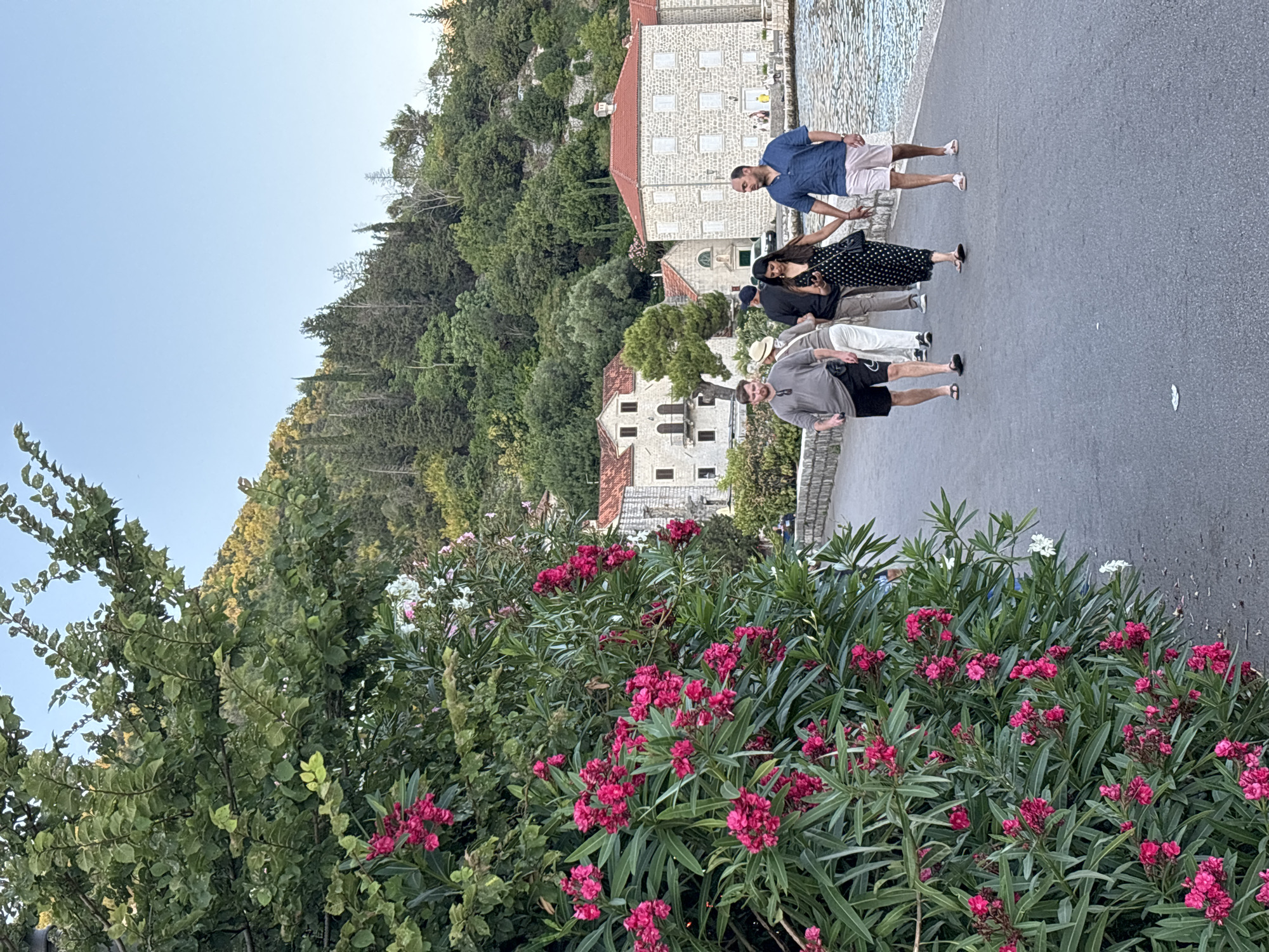 The image depicts a scene in Perast, Montenegro, featuring a walkway along the water with several people strolling. In the foreground, a lush bush with vibrant pink flowers dominates the left side of the frame. Beyond the walkway, the bay of Kotor is visible with calm water reflecting the sky. On the right, stone buildings with terracotta roofs line the waterfront, characteristic of Perast's architecture. The background shows a densely forested hillside with scattered trees, and a clear blue sky.
Five individuals are captured in the image. Closest to the foreground, a man in a grey t-shirt and black shorts walks on the left. Next to him, a person in a white outfit and a straw hat is walking away from the camera. Behind them, a woman in a black polka-dot dress is looking at her phone while holding hands with a man in a blue polo shirt and light-colored shorts who is walking towards the right. Further back, another person in a dark shirt and cap is visible. The people appear to be casually walking and interacting. The overall atmosphere is peaceful and scenic, suggesting a pleasant day in the coastal town.