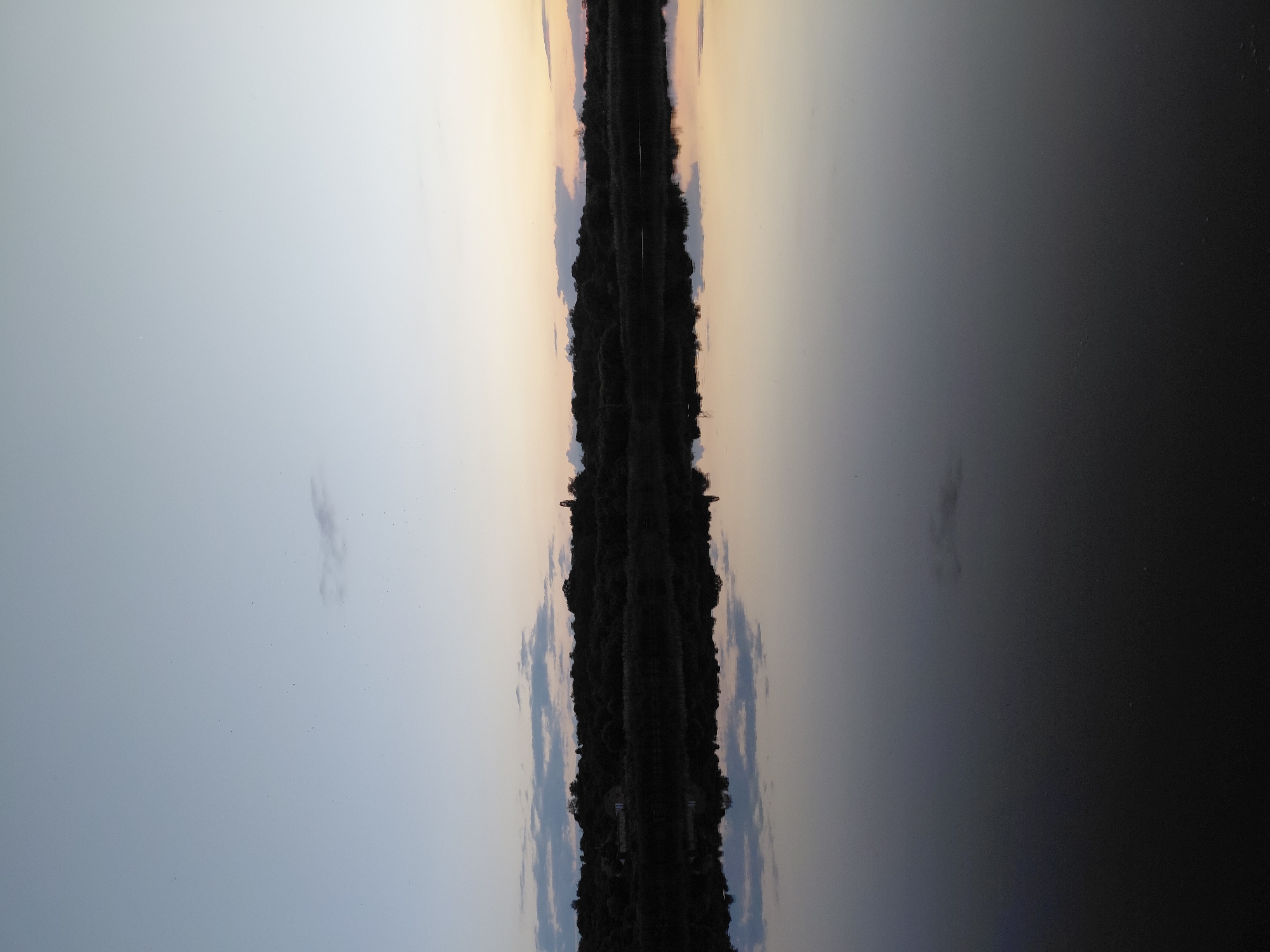 The image depicts a serene twilight scene over a body of water, likely a lake or river, with a dark treeline forming the horizon. The sky is a gradient of pale blue at the top, transitioning to lighter hues near the horizon where a faint hint of sunset colors, possibly orange and yellow, is visible. Scattered, wispy clouds are present in the upper portion of the sky. The water is still, perfectly reflecting the sky and the silhouetted treeline. The reflection shows the subtle colors of the sky and the dark shapes of trees, creating a mirror image. In the distance, along the treeline, a few indistinct structures or buildings are visible, suggesting a settlement or agricultural area. One structure appears to be a tower or spire. Small, dark specks, potentially birds in flight, are scattered across the sky. The overall impression is one of quietude and natural beauty at the end of the day. This scene could be located near the village of Ustyvytsia, Ukraine, given its rural and natural landscape characteristics.