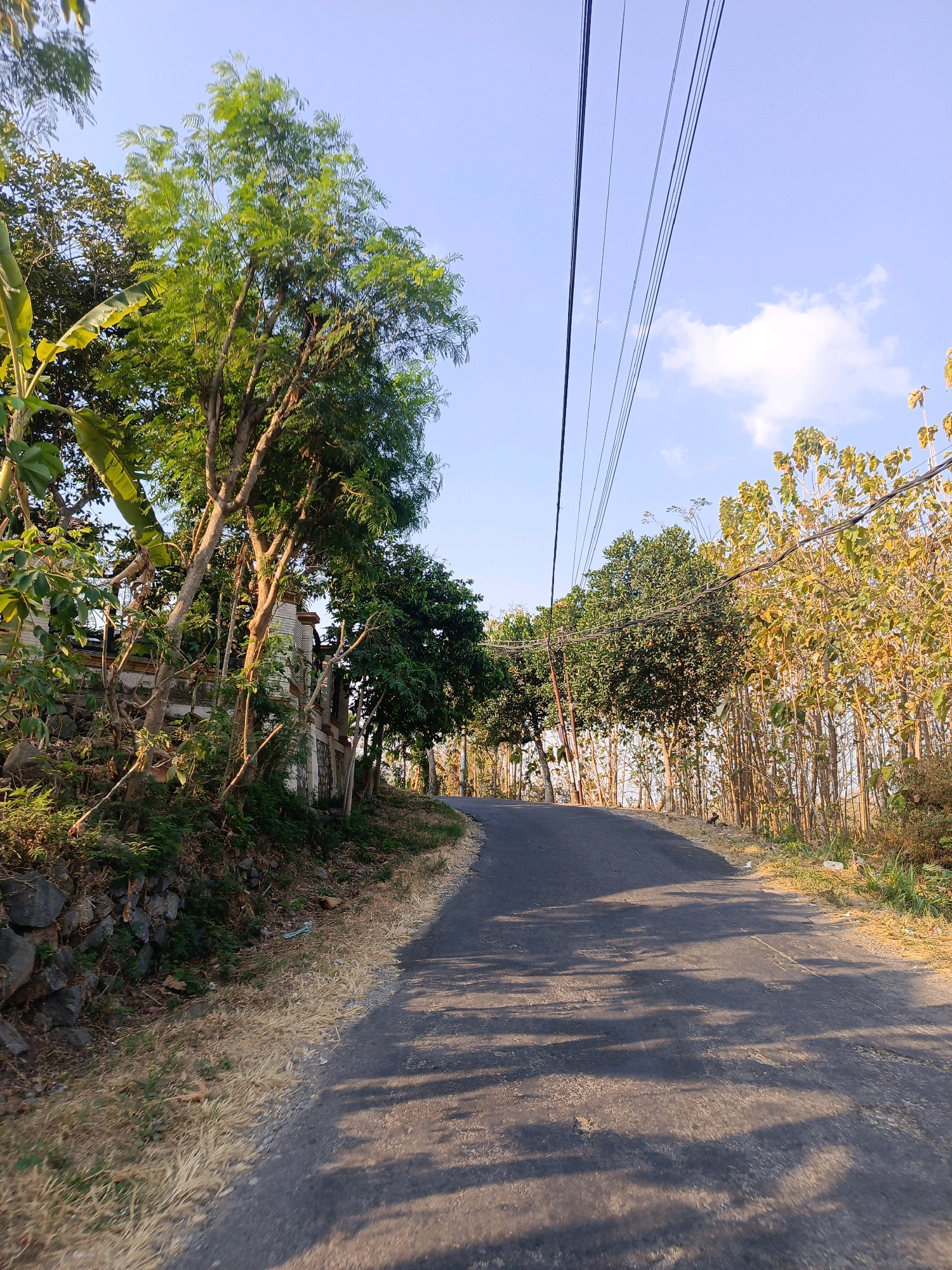 The image depicts a rural road in Ringinagung, Indonesia, winding upwards under a clear blue sky with scattered clouds. The road is paved and asphalted, with a rough texture and visible cracks in some sections. Sunlight casts dappled shadows of trees across the road, indicating it is late afternoon or early morning.
On the left side of the road, a stone retaining wall separates the road from a grassy embankment covered in dry straw and sparse vegetation. Tall trees with green foliage, including a banana tree, are prominent, some growing close to the road. A partially visible white wall and fence line run along the embankment.
To the right of the road, a dense line of trees with lighter, yellowish-green leaves forms a natural barrier, with tall, thin trunks. A few power lines are strung overhead, running diagonally across the frame, supported by poles visible in the distance. The overall environment suggests a quiet, natural setting. No people or animals are visible in the image.