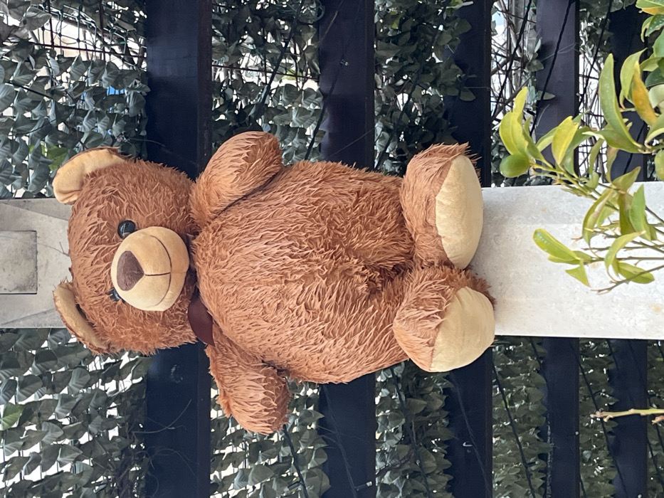 A large, brown stuffed teddy bear sits upright on a light-colored stone pillar in an outdoor environment in Budva, Montenegro. The bear's fur appears matted, suggesting exposure to moisture. It features black button eyes, a tan snout with a dark brown stitched nose and a stitched smiling mouth, and a dark brown ribbon tied around its neck. Behind the teddy bear, a dark pergola structure is visible, partially covered by dense green foliage, possibly artificial. In the lower right foreground, a green-leafed plant with small, spherical green fruit is present.