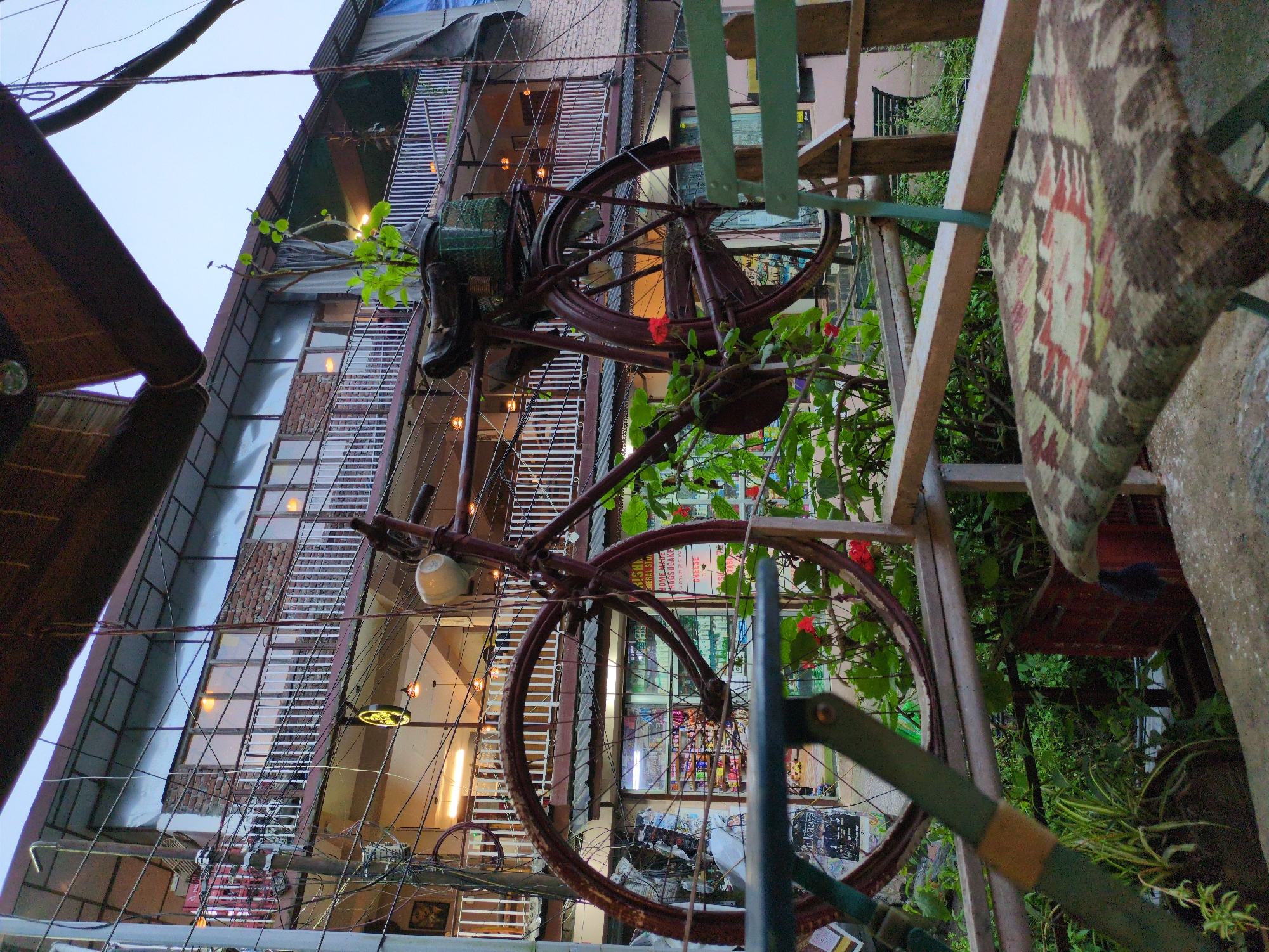 The image depicts an outdoor seating area with a vintage bicycle as a decorative element. The bicycle is weathered and rusty, painted a dark maroon. It is positioned centrally, leaning against a railing and overgrown with green foliage and a few red flowers. A basket is attached to the rear of the bicycle, holding a small plant. In the foreground, a chair with a patterned cushion sits on a concrete surface. Behind the bicycle, a multi-story building with balconies and numerous windows is visible. The building appears to be a shop or a restaurant, with signs and merchandise displayed in the windows. Power lines and electrical poles are prominent in the background, indicating an urban or semi-urban setting. The overall atmosphere suggests a quaint, bohemian style often found in tourist areas like Bhagsu, India. The lighting suggests it is either early morning or late evening. No people are visible in the scene.