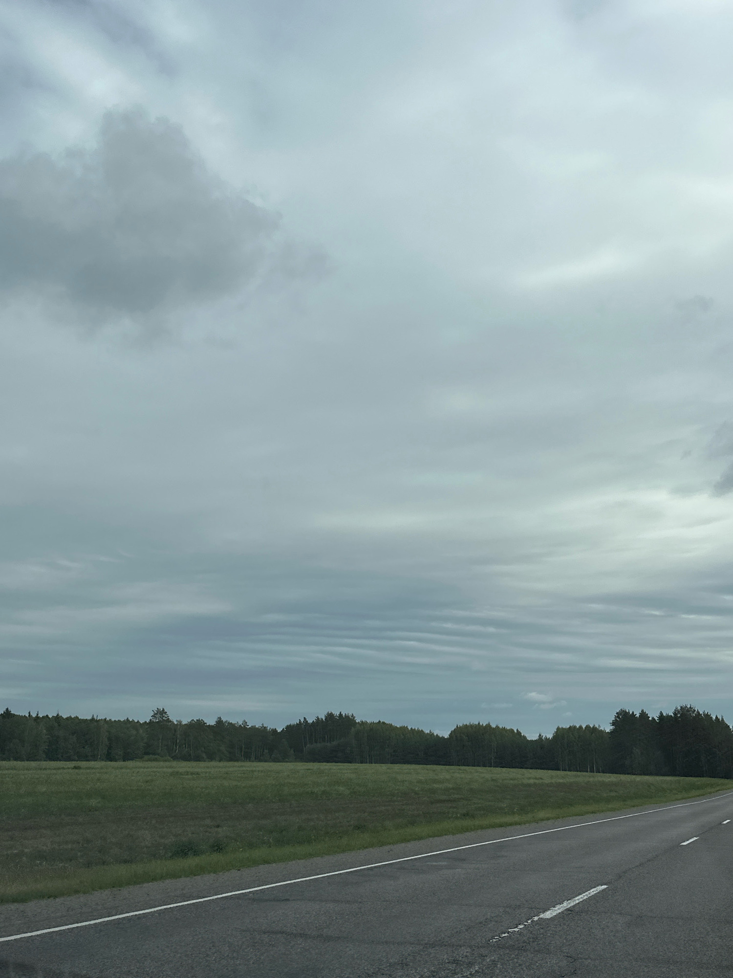 The image depicts a rural landscape under an overcast sky. A paved road with white markings runs diagonally from the lower right to the middle left of the frame. To the left of the road is a grassy field, and beyond that, a dense line of trees forms a forest. The sky is filled with various cloud formations, some appearing dense and dark, while others are lighter and more diffuse, creating a textured ceiling over the scene. The overall atmosphere is muted and somewhat somber, typical of a cloudy day. The location is identified as Porychchyy Selsoviet, Belarus. There are no people or animals visible in the image. The focus is on the natural environment and the road, suggesting a view from a moving vehicle or a roadside observation point.