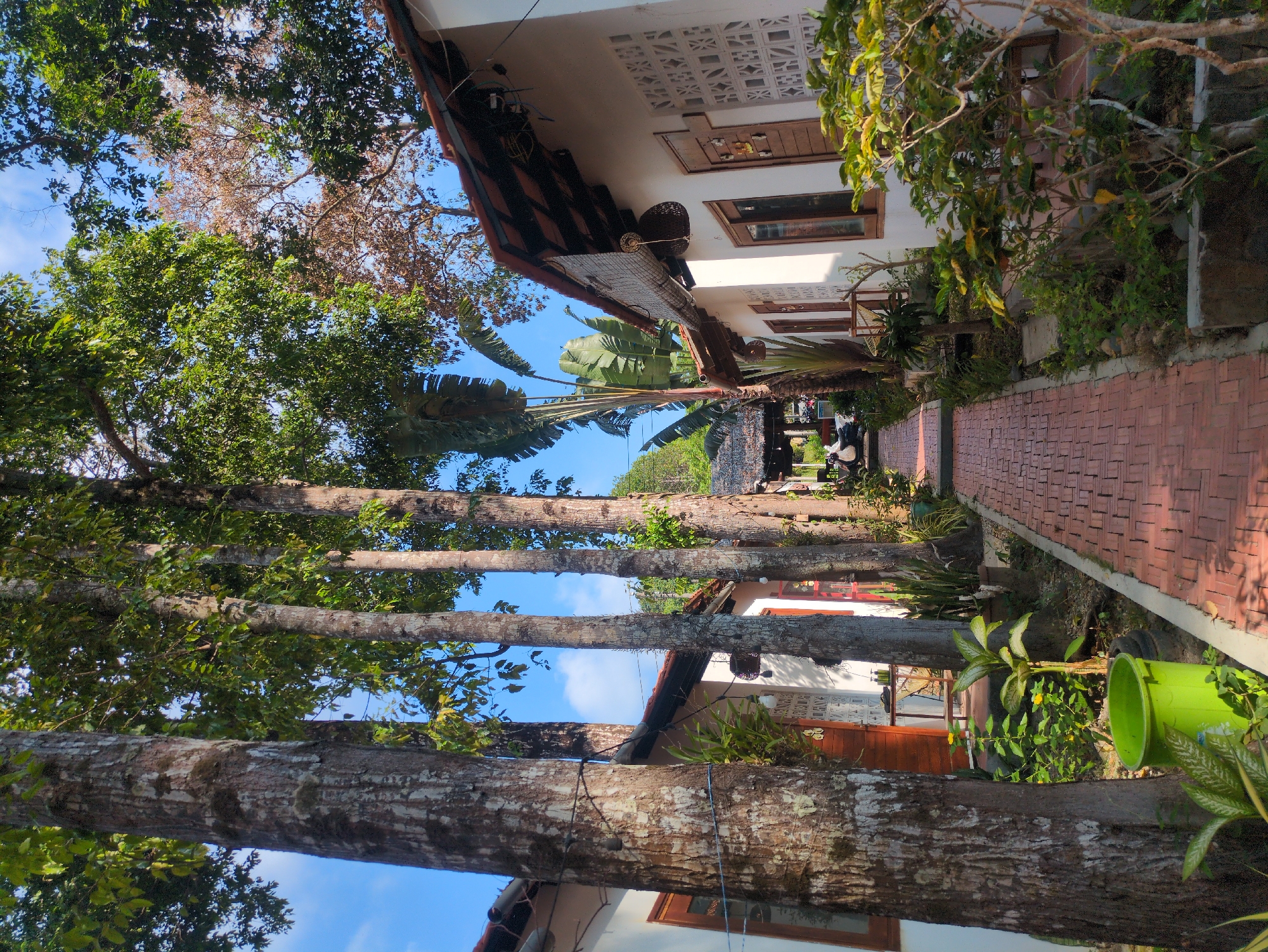 The image shows a path in Phú Quốc, Vietnam, lined with tall trees on the left and buildings on the right. The path is paved with red bricks. A green bucket sits beside the path. Sunlight filters through the trees. In the distance, the path leads to a shaded area with visible figures. The buildings are light-colored with dark-framed windows and tiled roofs. A tall palm tree is visible between the buildings.