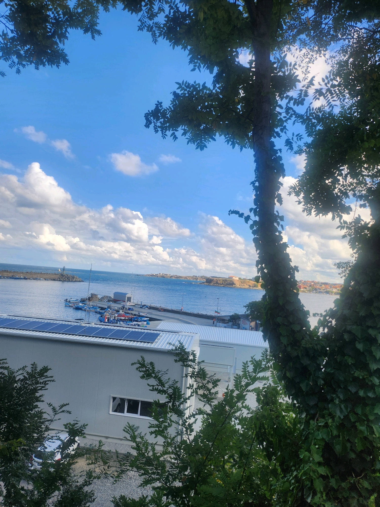 The image depicts a view of the Tsarevo, Bulgaria waterfront from a slightly elevated position, partially obscured by foliage from trees in the foreground. A modern, light-colored building with a metal roof covered in solar panels occupies the lower portion of the frame. To the right of the building, a white window is visible. Beyond the building and to the left, a harbor is seen with several small boats docked. A lighthouse stands on a pier in the distance. The sea stretches out to the horizon, meeting a bright blue sky dotted with fluffy white clouds. The distant coastline features buildings and greenery, suggesting a populated area. The overall scene is one of a coastal town on a clear day.