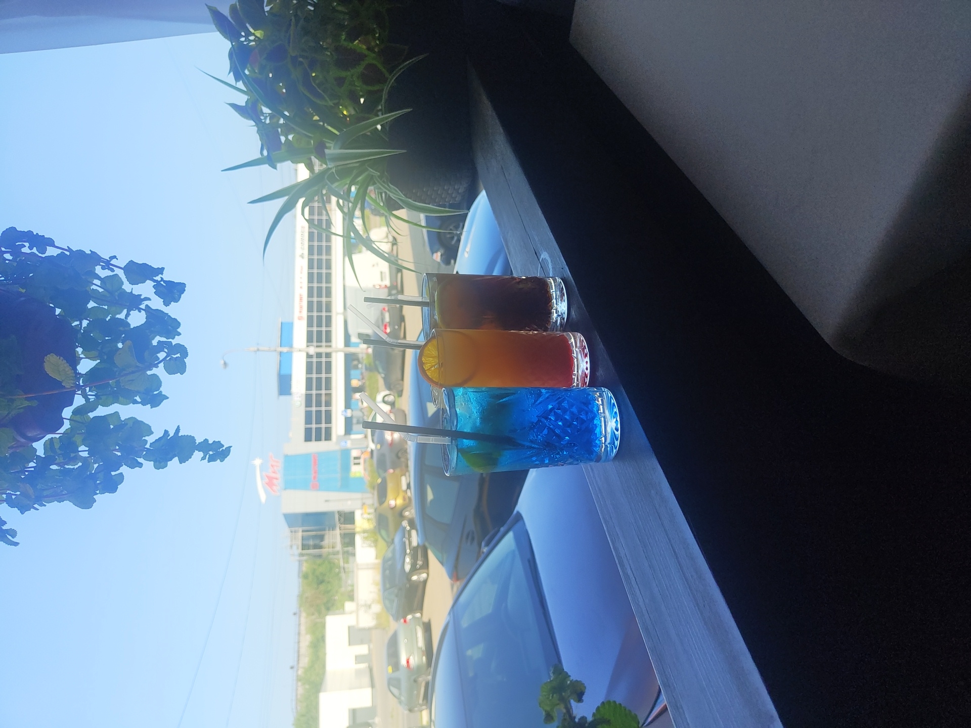 A sunlit outdoor scene captures three tall glasses with colorful beverages and straws, placed on a dark wooden ledge. The leftmost glass contains a bright blue drink with a lime wedge and straw. To its right, a second glass holds an orange and yellow layered drink, garnished with an orange slice and straw. The third glass, on the far right, contains a dark brown liquid with a straw. In the background, a parking lot is visible with several cars and a large building featuring the "Mar" logo, identified as being in the city of Zhukovsky, Russia. Lush green foliage hangs from above in the foreground, and a potted plant with variegated leaves is situated to the right of the drinks. The sky is a clear, pale blue.