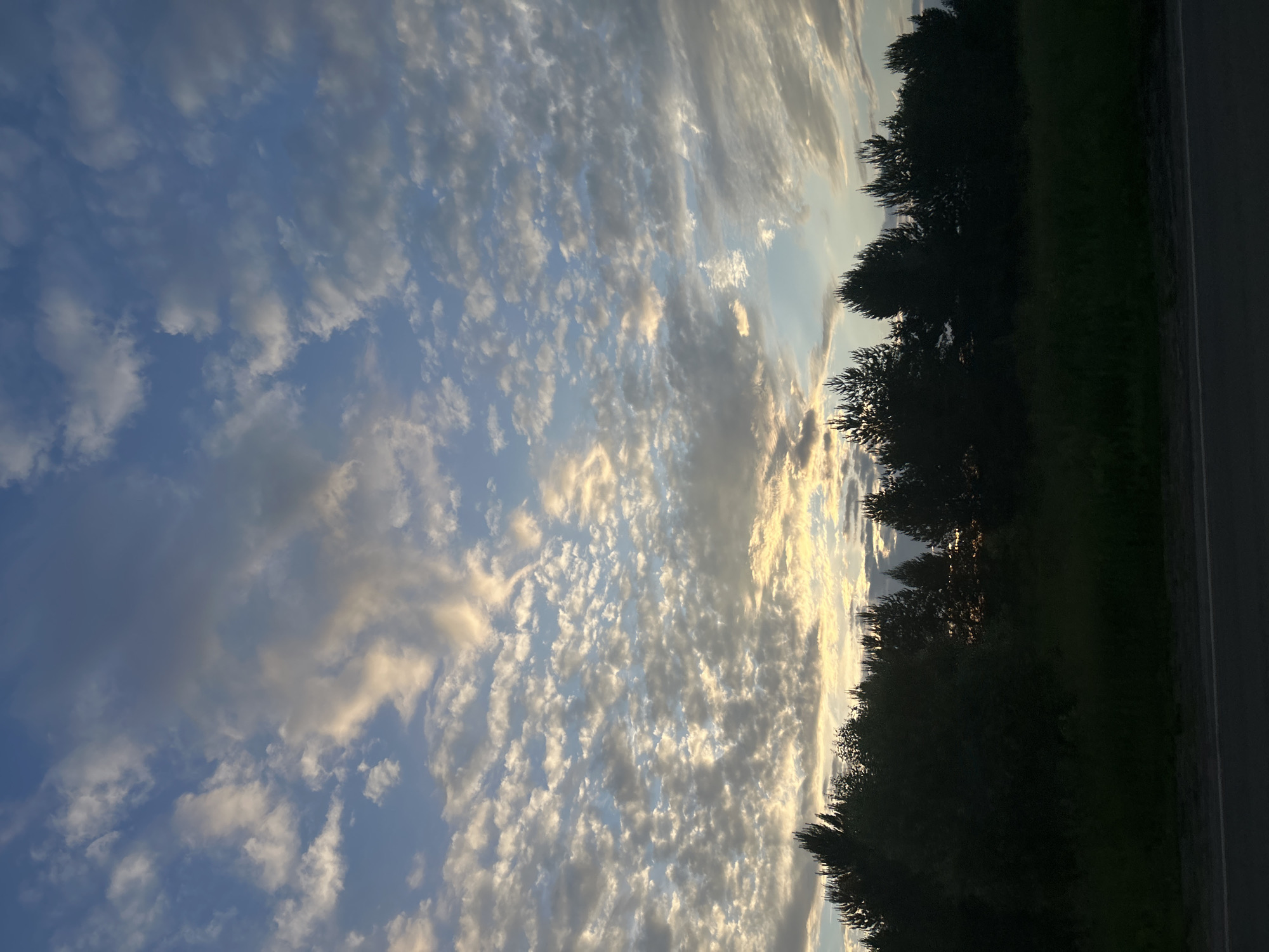 The image depicts a silhouetted line of trees and vegetation against a sky filled with scattered clouds. The clouds are illuminated by sunlight, creating a mix of light and dark patches. The bottom of the image shows a dark, indistinct strip that appears to be a road or pathway. There are no people or discernible structures visible. The scene is likely captured at dusk or dawn, given the lighting conditions. The location is identified as Povarёnki, Russia.