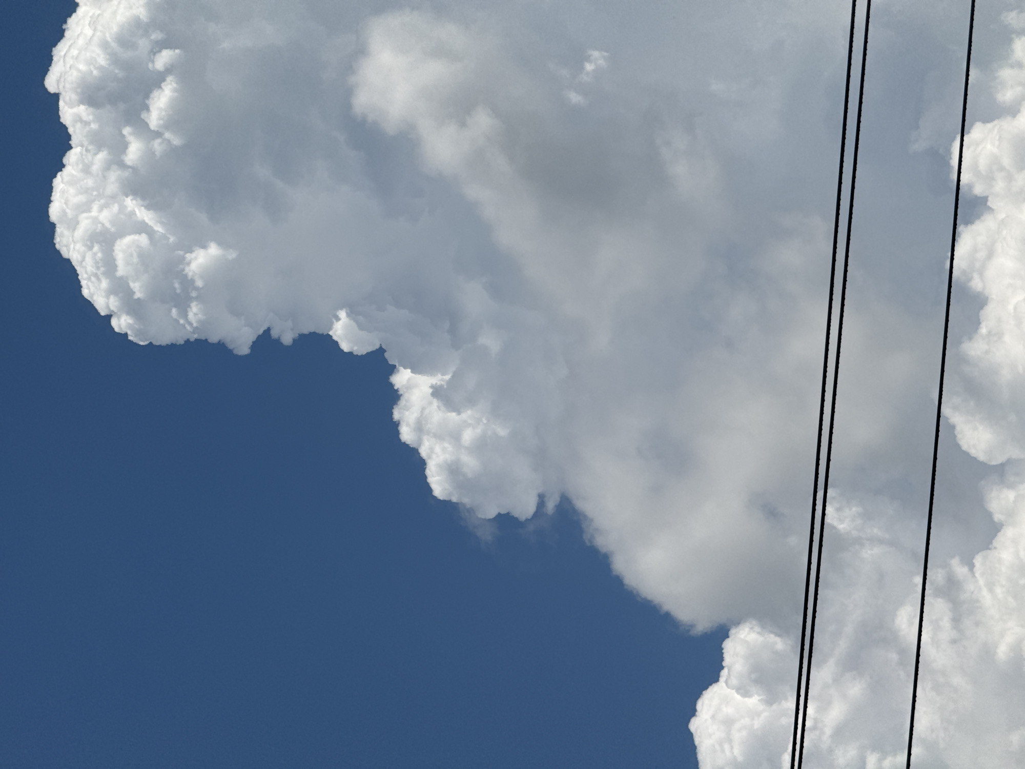 This media file is a photograph taken from a low angle, looking upwards at a bright blue sky filled with large, fluffy white clouds. The clouds are dense and appear to be cumulus clouds, with some showing textured, cauliflower-like formations. The sky is a deep, clear blue, suggesting good weather. In the foreground, three thin, black power lines run diagonally across the frame from the top right to the bottom left. These lines interrupt the view of the sky and clouds, creating a strong vertical element. The lighting suggests it is daytime, likely midday or afternoon given the brightness of the clouds and the deep blue of the sky. There are no people or specific objects visible other than the power lines. The scene evokes a sense of openness and the vastness of the sky. The location context provided is Mikhaylovsk, Russia, which aligns with a typical sky view in a terrestrial setting.