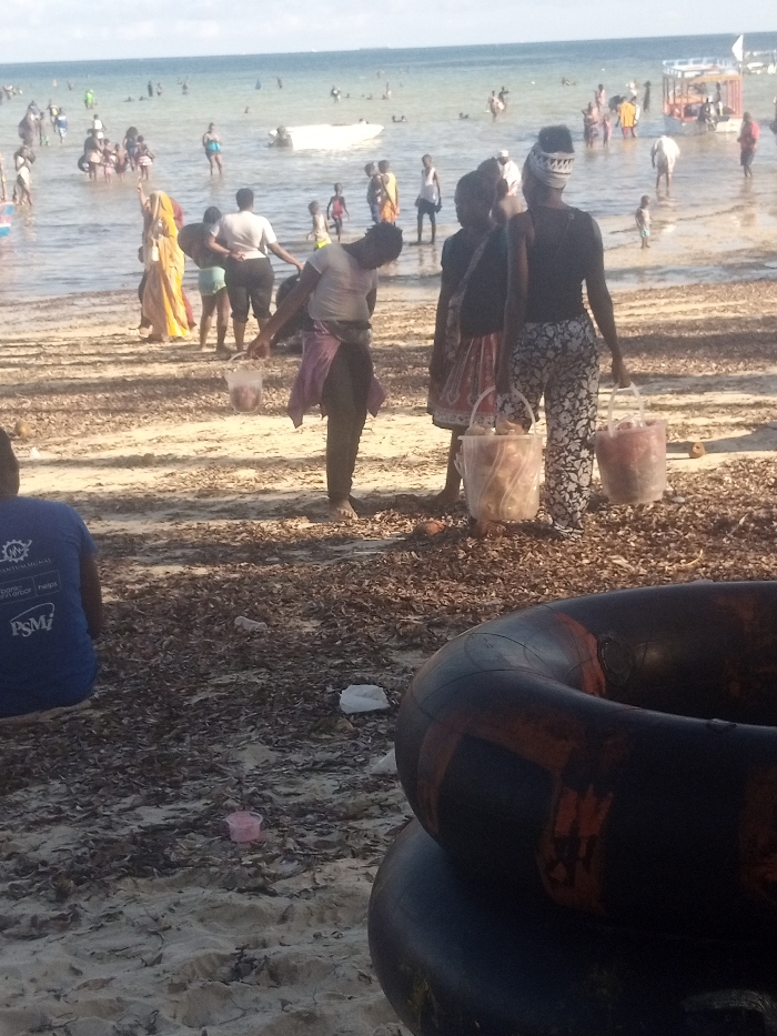 The image depicts a crowded beach scene in Shanzu ward, Kenya, under bright daytime lighting. The foreground shows a sandy expanse heavily covered with dark brown organic debris, likely seaweed. A person in a blue t-shirt with partial white text ("SHANTUOGAL," "PSM") is seated on the sand, facing away from the viewer. Stacked to the right are two dark-colored inflatable rings with reddish-orange markings. Scattered small white plastic debris and a single pink plastic cup are visible on the sand. In the midground, several individuals are positioned near the water's edge. One person, wearing a light shirt and dark pants with a pink garment tied around the waist, is bent over, holding a clear plastic bucket. Adjacent to them, two other individuals stand upright, each carrying a clear plastic bucket filled with items; one wears a dark top and patterned skirt, the other a dark top, patterned pants, and a head wrap. Further left, a person in a multi-colored yellow and red patterned wrap stands close to the water. The background reveals the ocean populated by numerous individuals swimming, wading, or standing in the shallow water. A white object, possibly a small boat or raft, is floating in the water with people near it, and several other small boats are visible farther out under a light blue sky with scattered clouds.