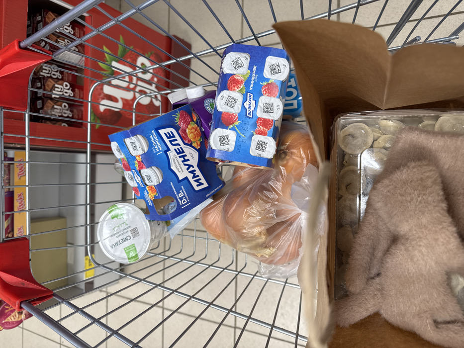 A shopping cart contains an assortment of groceries. Two packs of "Imunelle" yogurt drinks, one with a raspberry flavor and the other with strawberry, sit next to a container of "Smetana" sour cream and a bag of onions. Beyond the onions is a brown cardboard box containing what appears to be frozen dumplings, partially obscured by a fuzzy, beige object. A box of "KitKat" candy bars and a box of "Twix" candy bars are visible in the background of the cart.
