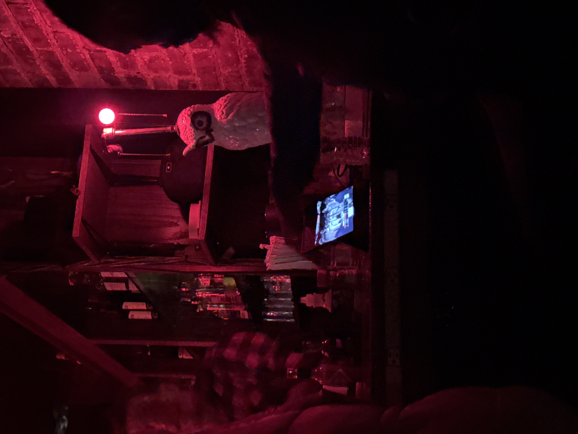 The image shows the interior of a bar in New York City, United States of America, with a red lighting scheme. A bartender is visible, with some customers in the foreground. The bar has a shelf with liquor bottles, and there's a television screen mounted on the wall. An owl decoration is affixed to a box-like structure near the light fixture. The ceiling appears to be brick. The overall scene has a dark and dimly lit atmosphere.
