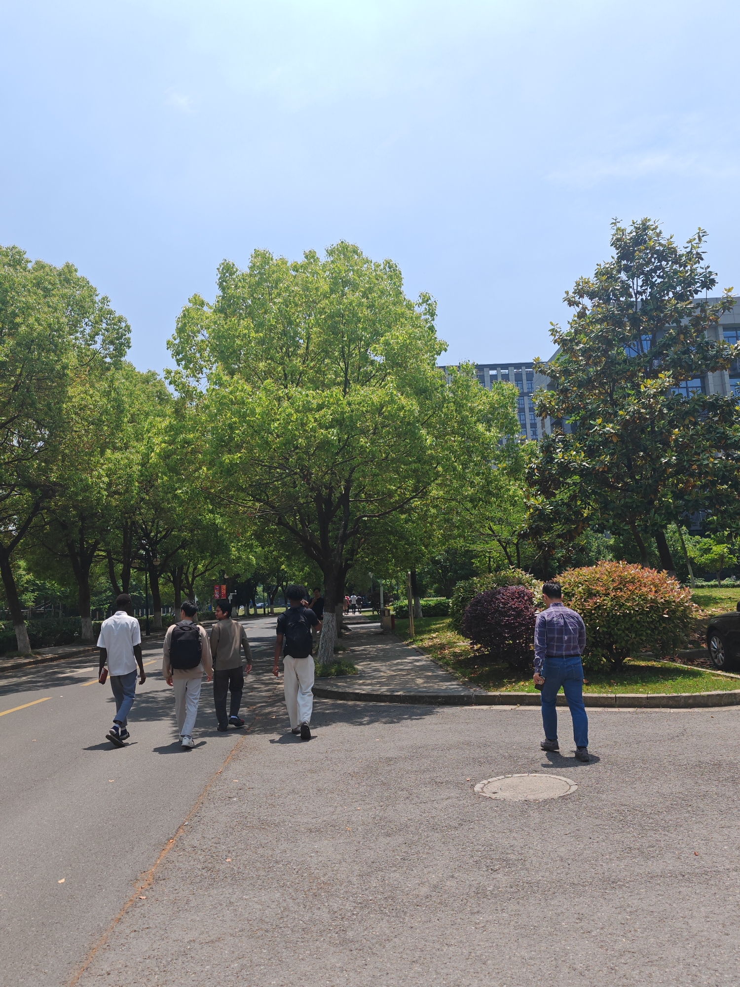 The image shows a group of four people walking away from the camera on a road in Jiangning District, China. The road is lined with trees and bushes. Another man in a blue and purple plaid shirt and jeans stands away from the group and faces away from the camera. A building with multiple windows is visible in the background. There is a manhole cover in the road. The sky is clear and blue.