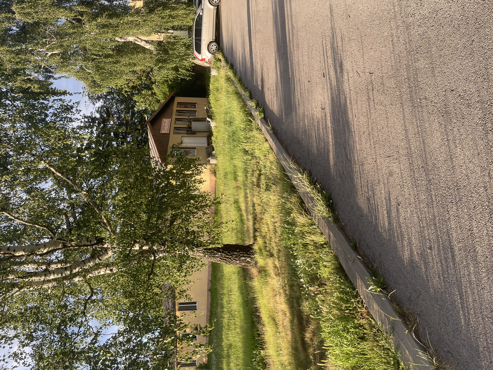 The image displays an outdoor scene, likely a street or access road, on a sunny day. The perspective is slightly elevated, looking down a stretch of asphalt road that runs along the right side of the frame. Long, distinct shadows, likely cast by trees, extend across the road, indicating either early morning or late afternoon sunlight. A light-colored car is parked on the shoulder of the road, partially visible at the top.
A concrete curb separates the road from a wide strip of green grass that occupies the middle ground. The grass appears well-maintained in some areas and wilder with taller growth and small white wildflowers in others.
On the left side of the frame, a large tree with light-colored, possibly birch, bark and dense green foliage dominates the foreground. Its branches extend broadly, with sunlight filtering through the leaves. Behind this tree, a single-story building painted light yellow with a brown-tiled roof is prominent. The building has several windows and a visible entrance area. Affixed to the facade near the roofline is a sign with Cyrillic text. The text reads "СПОРТНА ЗАЛА" (SPORT HALL) and beneath it, "ДЗЮДО КАРАТЕ" (JUDO KARATE), indicating the building's function as a martial arts sports facility. A part of another similar-looking building is faintly visible further to the left, behind the large tree.
The sky is bright and clear, visible through gaps in the tree canopy. No people are visible, and no specific activity is taking place; the scene is static. The setting suggests a semi-urban or suburban environment. The Cyrillic text on the building's sign serves as a distinct location cue for Ihtiman, Bulgaria.