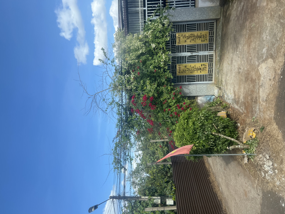 A house with a gray metal gate is partly obscured by abundant white and red bougainvillea. The concrete driveway is cracked and stained. In the foreground, a small Vietnamese flag is planted near a corrugated metal fence. The sky is blue with scattered white clouds. Electrical wires stretch across the frame above a streetlamp.