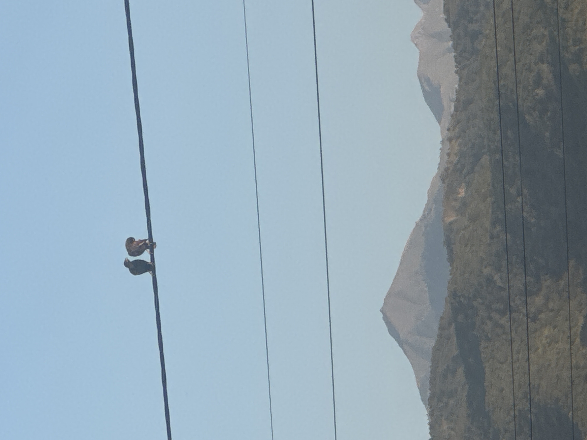 Two birds are perched on a power line against a clear blue sky. Below the power line, a hazy mountain range is visible, with a prominent, pointed peak in the center. The lower slopes of the mountains are covered in dense, dark vegetation. Several other power lines are also present, running horizontally across the frame at different levels. The scene appears to be set in a natural landscape with a man-made element of the power lines. The image does not show any people or any indication of the city of Tuzdybastau, Kazakhstan.
