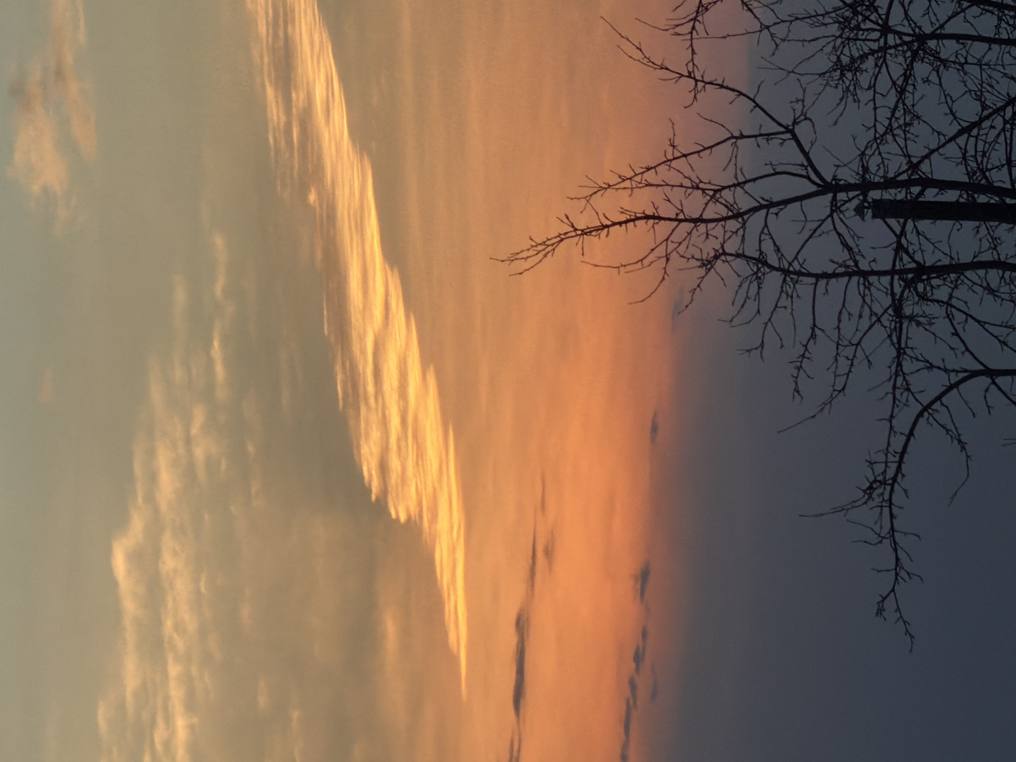 A landscape photograph taken in Chaikovsky, Russia, depicts a sunset. The left side of the frame features a band of light-colored clouds contrasted by a line of bright yellow clouds. The central area is filled with a gradient of orange to gray clouds. The right side contains bare tree branches silhouetted against a dark blue sky.