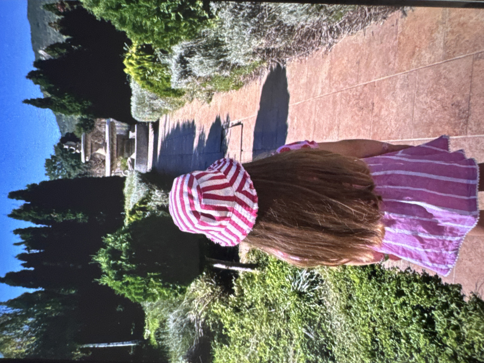 The image displays a young individual, observed from behind, walking along a paved pathway within a formal garden or park setting, identified as being in Vratsa, Bulgaria. The individual has long, straight, brown hair and wears a bucket hat featuring wide, alternating vertical stripes of pink/red and white. She is also dressed in a pink and white striped garment, likely a dress or top, with a white trim at its hem.
The pathway is constructed of light brown or terracotta-colored rectangular pavers, extending centrally into the distance towards a stone fountain. Distinct shadows are cast upon the path, indicating strong daylight conditions.
On both sides of the path, meticulously maintained vegetation is visible. To the immediate left, varied green foliage and shrubs form a border, leading to dense green bushes and tall, dark evergreen trees in the background. To the right, the path is bordered by low-lying, silvery-green shrubs, followed by manicured green hedges and more tall, dark evergreen trees.
In the mid-distance, at the end of the pathway, a classical, multi-tiered stone fountain is positioned. It features at least two basins and an indistinct sculpted element on its uppermost tier. Beyond the fountain and the dense tree line, a prominent mountain range or series of hills is visible beneath a clear, bright blue sky, forming the natural backdrop to the landscaped area.
