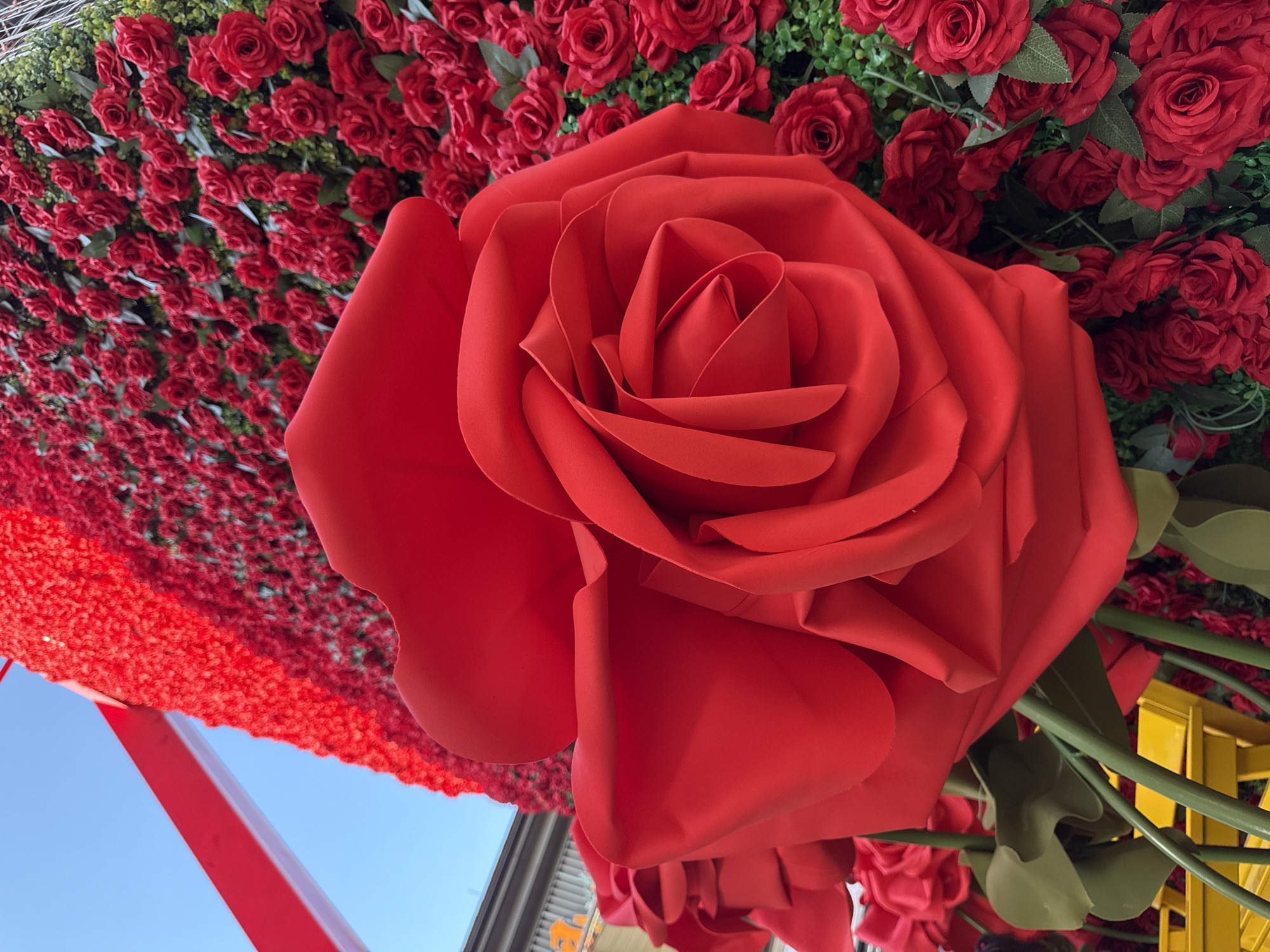 This is a medium shot, eye-level, outdoor photograph of a large, artificial red rose display in Yiwu, China. The rose display appears to be part of a shopfront or event decoration. In the foreground, a massive, stylized red rose with fabric petals dominates the frame. Behind it, a dense wall of smaller, artificial red roses, interspersed with green foliage, stretches into the background. The sky is visible at the top left, a clear blue with a portion of a red and white structure that could be a banner or part of the building. Hints of a yellow structure, possibly seating, are visible in the lower left quadrant beneath the large rose. The image is brightly lit, suggesting daytime. There are no people or animals visible.