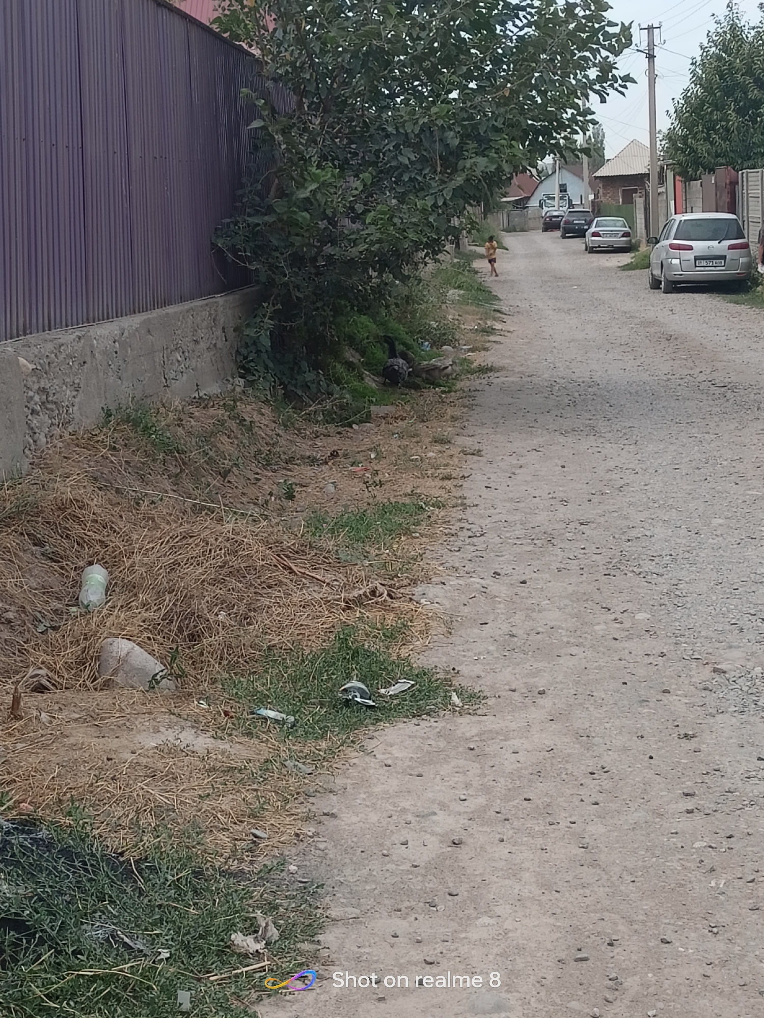 In the city of Bishkek, Kyrgyzstan, a dirt road is lined with a tall, dark purple corrugated metal fence on the left. Adjacent to the fence is a concrete retaining wall topped with dry, tan grass and weeds. A single green plastic bottle and a light-colored rock are visible in the grass. Further down the road, a young child wearing a yellow shirt walks away from the camera. Several cars are parked along the right side of the road. A silver SUV is parked closest to the viewer, followed by a silver sedan, and then a dark sedan further down. Trees with green foliage overhang the road. The ground is covered with gravel and dirt. In the foreground on the left, there is a pile of dark garbage bags. A few dark-colored birds are visible in the grass near the garbage. The sky is overcast.