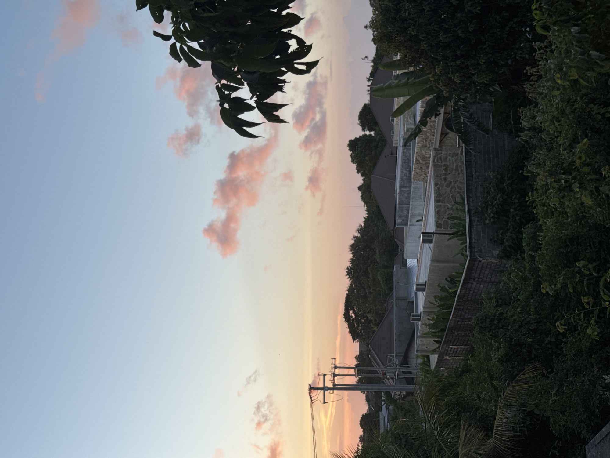 Captured from an elevated perspective in Ungasan, Indonesia, the image showcases a tranquil, warm-toned sky at dusk, tinged with faint pink clouds. A dense assemblage of green foliage fills the right side of the composition, contrasting with the rooftops of several structures. Power lines stretch across the lower-middle area, juxtaposed against the fading sunlight. A tree branch with leaves is partially visible in the top-left corner.