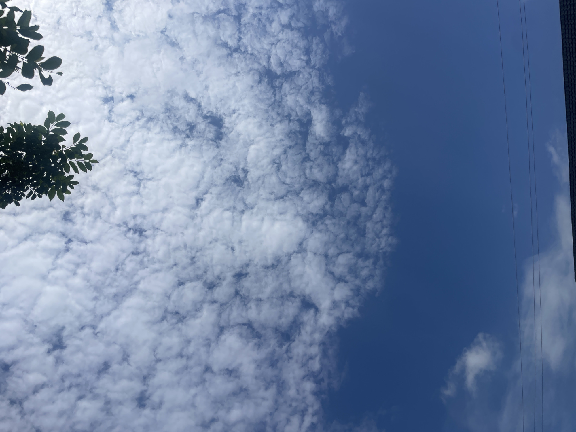 The image depicts a clear blue sky filled with scattered, puffy white clouds. In the upper portion of the frame, dark green foliage from trees hangs into view. The lower section of the image shows a dark, tiled roof of a building, with several thin, dark electrical wires stretched horizontally across the sky. The scene appears to be an outdoor environment, likely in Jimeta, Nigeria, given the provided context. No people or specific actions are visible.