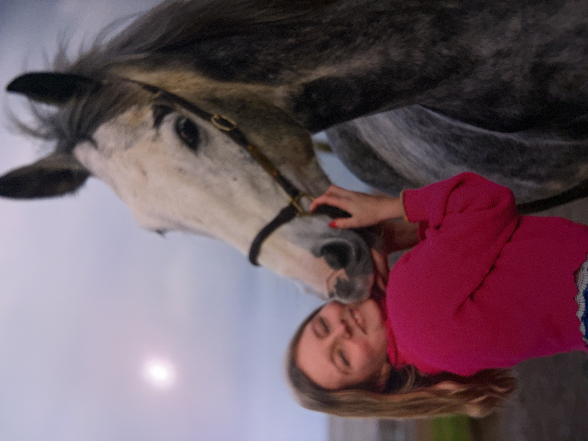 The image, rotated approximately 90 degrees clockwise, captures an intimate and joyful moment between a young person and a dappled grey horse in Estaimpuis, Belgium. A girl with light brown hair, dressed in a vibrant pink long-sleeved top and patterned blue and white clothing, is shown with her eyes closed and a wide smile, indicating deep contentment and affection. Her right hand is gently placed near the horse's muzzle as the horse nuzzles her face.
The horse has a striking appearance with a predominantly white face featuring dark grey markings around its eyes and ears, and a darker, dappled grey body. It wears a dark leather bridle. The background consists of a soft, light-colored, overcast sky, with a diffused bright spot suggesting the sun's presence, possibly indicating late afternoon or early morning light. The scene radiates warmth and a strong bond between the girl and the equine. No text is visible in the image.