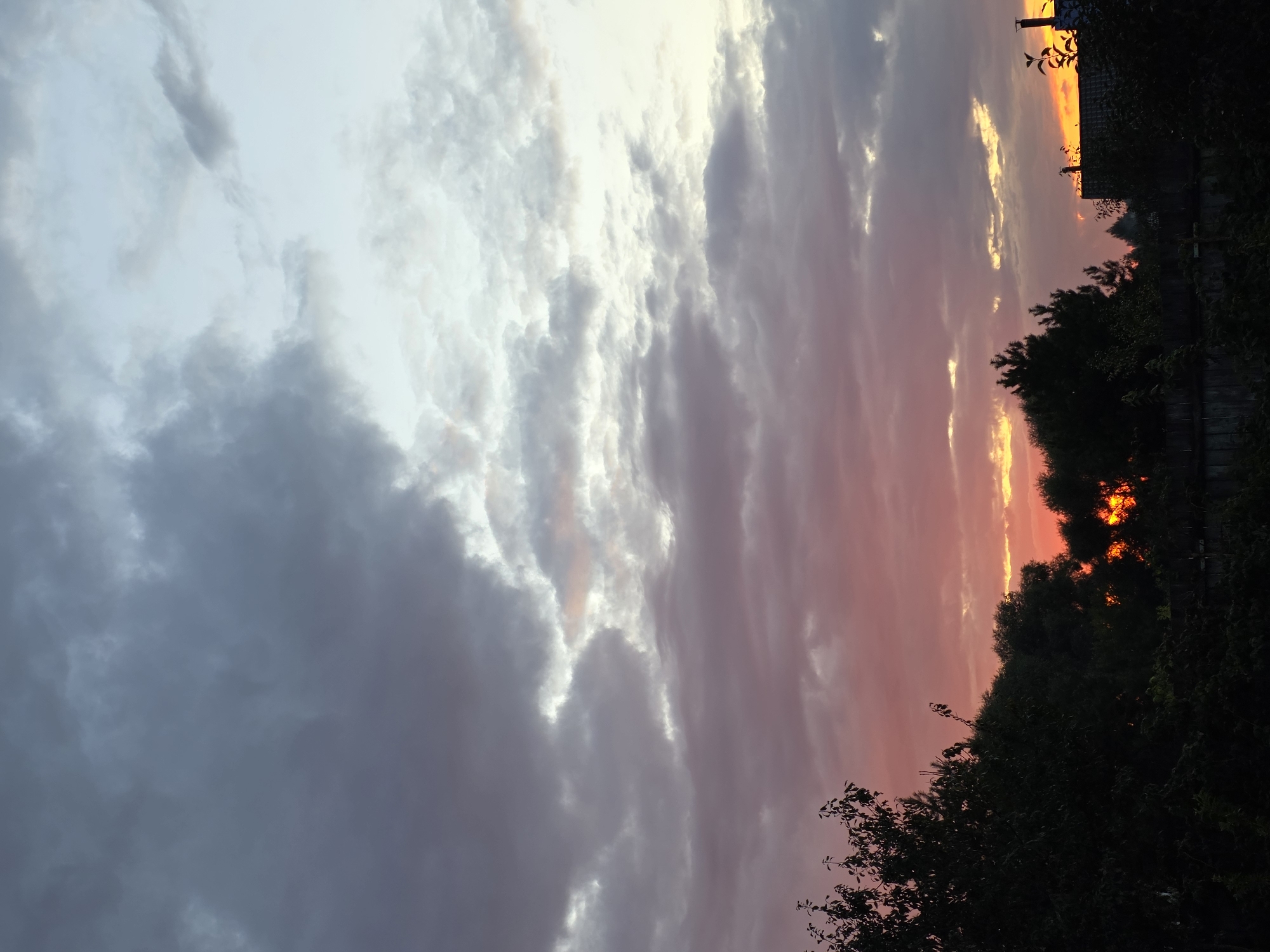 A cloudy sunset is depicted in the image, with the sky displaying a gradient of colors from deep gray and purple to soft pink and orange near the horizon. Silhouetted against the vibrant sky are the dark shapes of trees and rooftops, indicating an outdoor, likely rural or suburban, environment. The scene appears to be captured at dusk, with the sun's light partially obscured by the clouds, creating a dramatic and atmospheric effect. The location, Речицы, Russia, suggests a setting in a Russian town or village. There are no discernible people, actions, or interactions in the image.