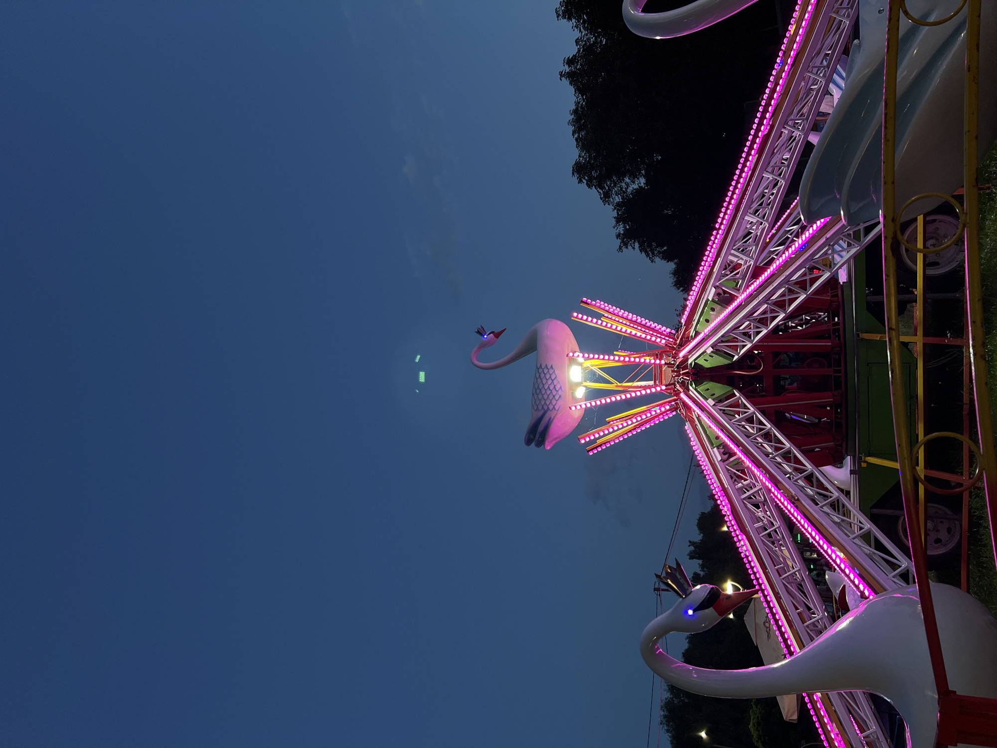 This is a nighttime photograph of a swan-themed amusement park ride, likely located in Ternopil, Ukraine. The ride features several large, white swan-shaped gondolas, two of which are prominently visible in the foreground and mid-ground. These swans have blue LED eyes and decorative crowns on their heads. The central structure of the ride is a complex metal framework adorned with numerous bright pink LED lights that illuminate the scene. The ride is set against a dark blue evening sky, with the silhouettes of trees visible in the background. The overall atmosphere is one of a festive, illuminated amusement park at dusk or early night.