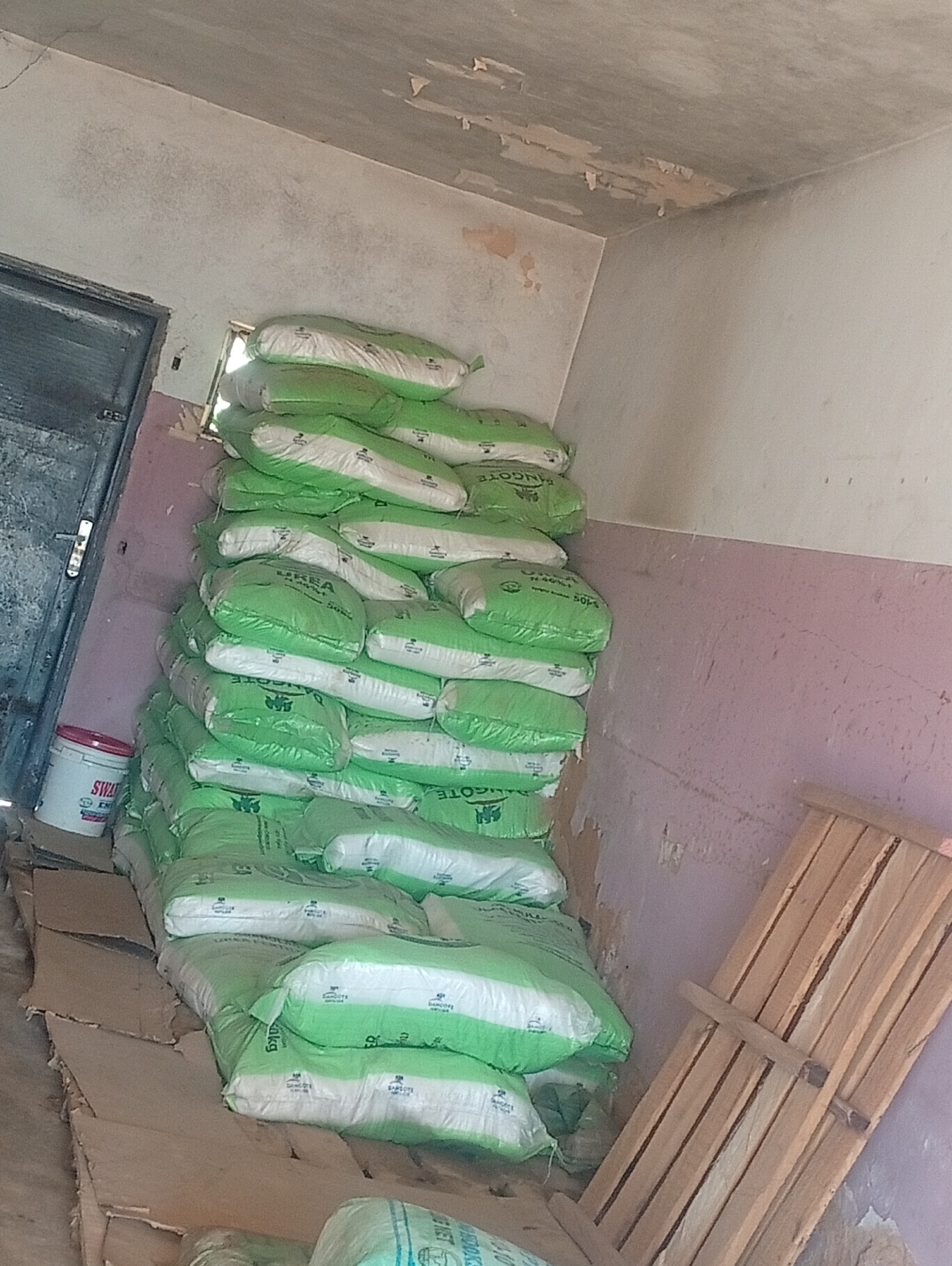 The image depicts a storage room in Bukuru, Nigeria, filled with numerous large bags, predominantly stacked high in the center of the room. The bags are a vibrant green with white lettering and designs, suggesting they contain agricultural products like fertilizer or feed. Some bags have visible text including "UREA," "DAMCOTE," and "50KG." To the left, a white bucket with red lettering that partially reads "SWAT" is present, possibly containing related materials. A dark, weathered door stands to the far left, and a small, grimy window with light filtering through is visible behind the stacks of bags. The walls are unfinished, with peeling paint and discolored patches, indicating a rustic or utilitarian setting. A disassembled wooden pallet or structure lies against the right wall. The lighting suggests an indoor environment, possibly during daylight hours. The overall impression is one of agricultural storage, likely for farming supplies. There are no people visible in the image.