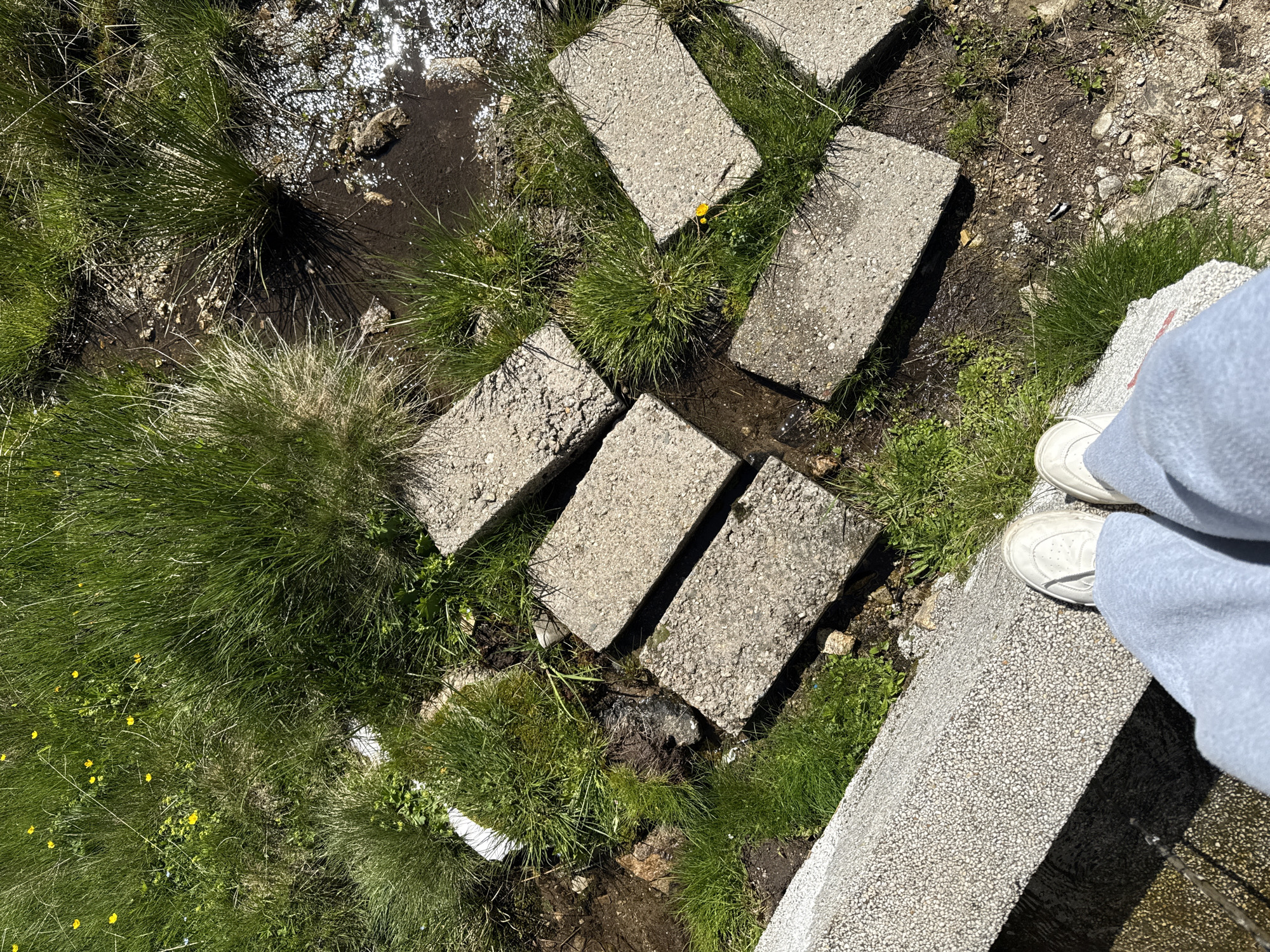 The image shows a person's feet, clad in white sneakers and light blue sweatpants, standing at the edge of a textured concrete structure. Below and to the right, several rectangular concrete pavers are arranged irregularly on a patch of grass and dirt, with some areas appearing wet and reflecting sunlight. Lush green grass, interspersed with small yellow flowers, grows around and between the pavers. A white pipe is visible to the left, partially obscured by grass. The scene appears to be outdoors in a natural or semi-natural setting, with the concrete structure suggesting a man-made element within the environment. The specific location in Konarsko, Bulgaria is not visually determinable from the image content.