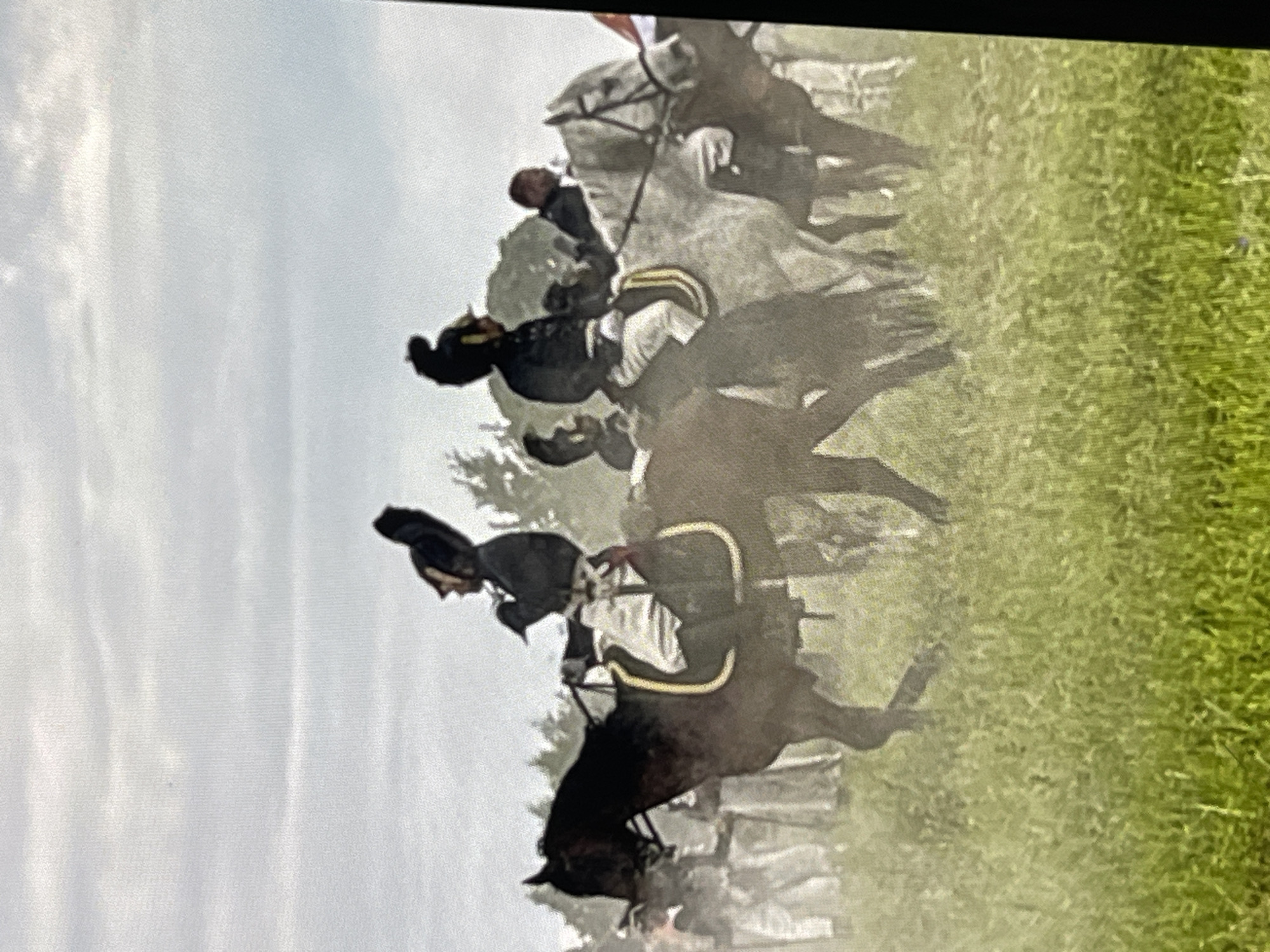 The image depicts a historical reenactment scene set in a grassy field, possibly a park or open area, under a cloudy sky. In the foreground, two men on horseback are prominently featured. The man on the left rides a dark-colored horse and is dressed in a dark military-style jacket, white breeches, and a distinctive tall, plumed hat. He appears to be holding the reins and looking to his left. His horse is equipped with a saddle and bridle, with a decorative saddle cloth.
To the right, another man on a lighter-colored horse is visible. He is also wearing a similar military-style uniform, including a jacket and hat, and white breeches. His horse is also saddled. Behind these two figures, other individuals on horseback and on foot are partially visible, suggesting a larger group or event. Some figures in the background are blurred and appear to be in military attire as well. The overall atmosphere suggests a historical battle or parade reenactment. The environment is a natural setting with green grass and trees in the background. There is no specific visual information in the image that would suggest a location within the city of Moscow, Russia.
