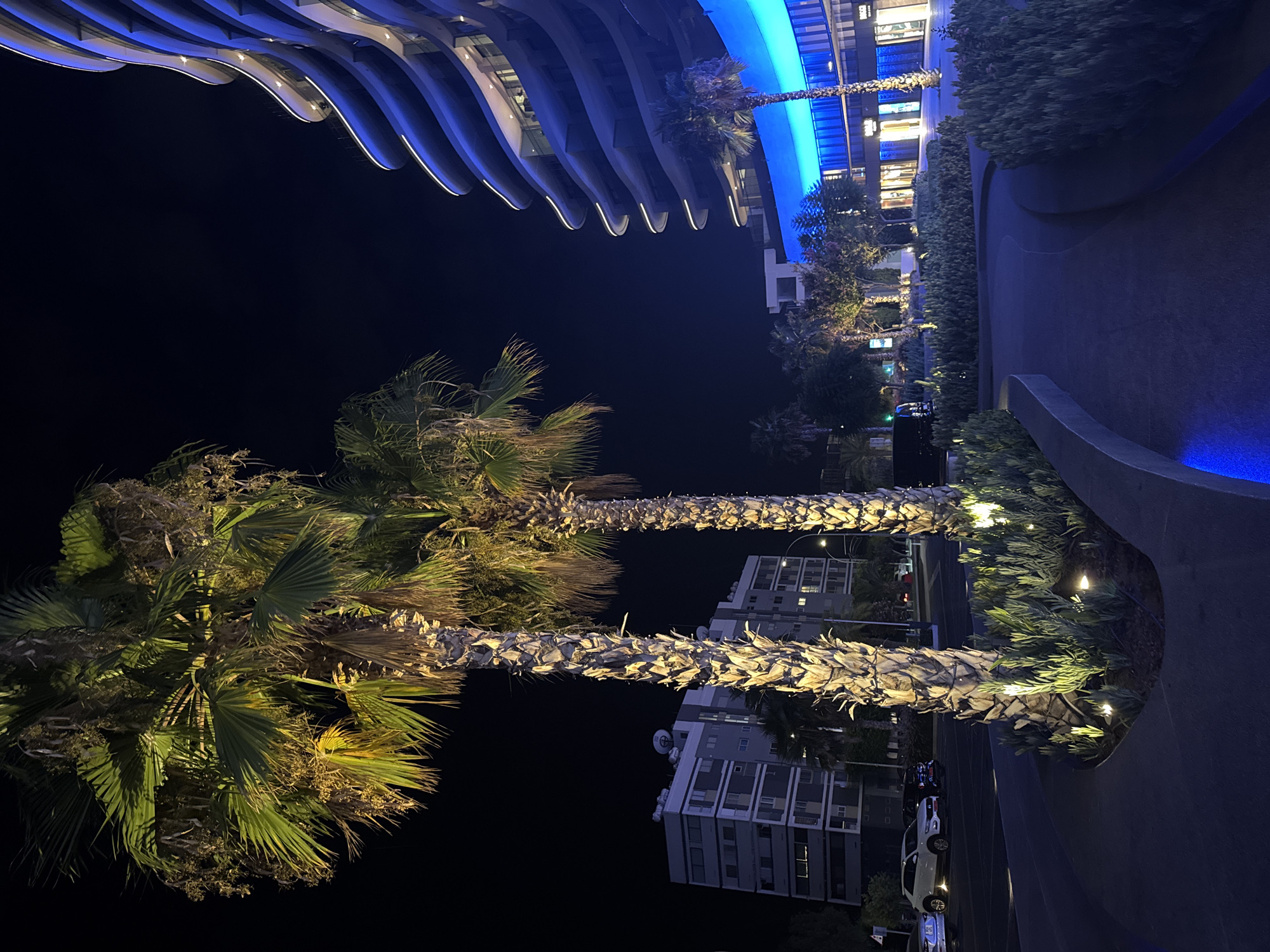 A nighttime exterior view shows two illuminated palm trees in the foreground, their trunks lit from below with warm yellow lights, and their fronds casting shadows against the dark sky. To the right, a modern building with a curved facade is dramatically lit with vibrant blue and white accent lights along its balconies. In the mid-ground, across a street, there is a multi-story building with windows visible, also illuminated. Several vehicles are parked on the street. The foreground features a paved walkway with low-lying green plants and embedded small lights. The scene appears to be in an urban area, likely a public space or commercial district, in Germasogeia Municipality, Cyprus.